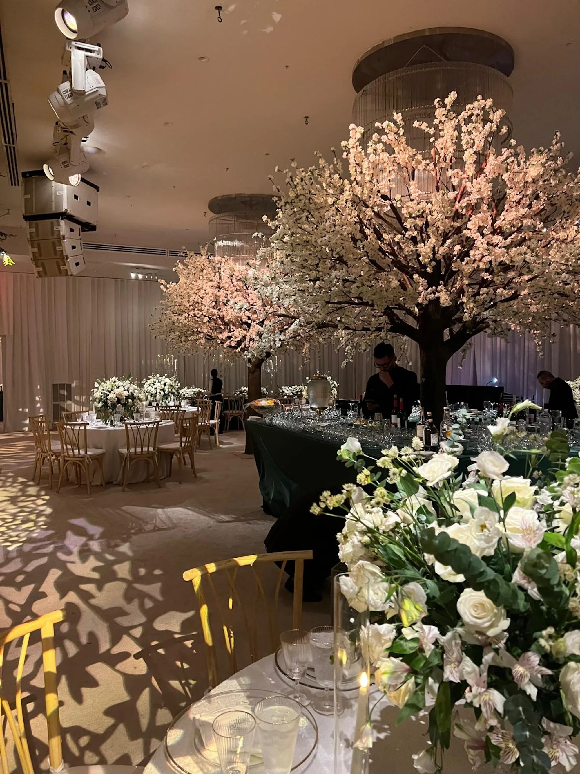 WhatsApp Image 2026-03-19 at 15.06.49 (17).jpeg