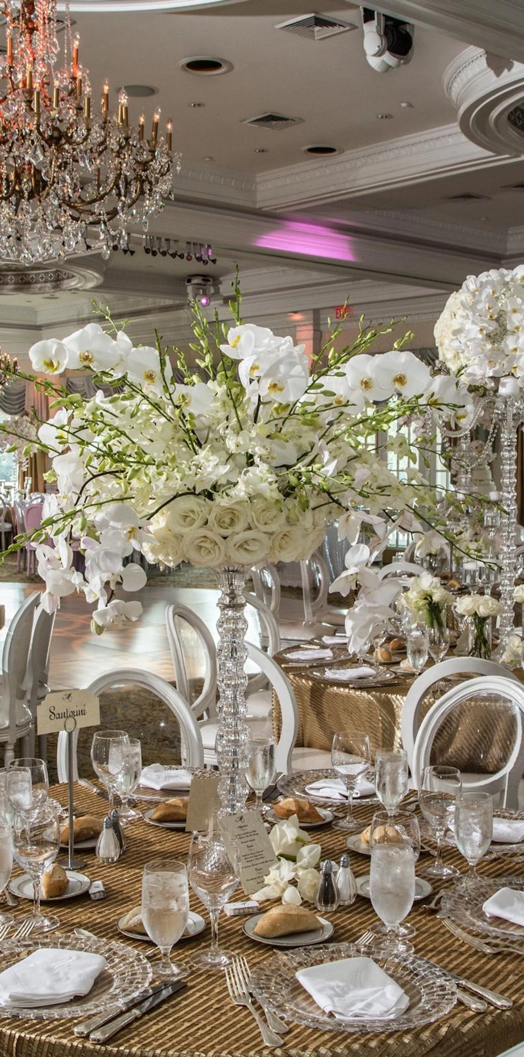 WhatsApp Image 2026-03-19 at 15.04.30 (1).jpeg