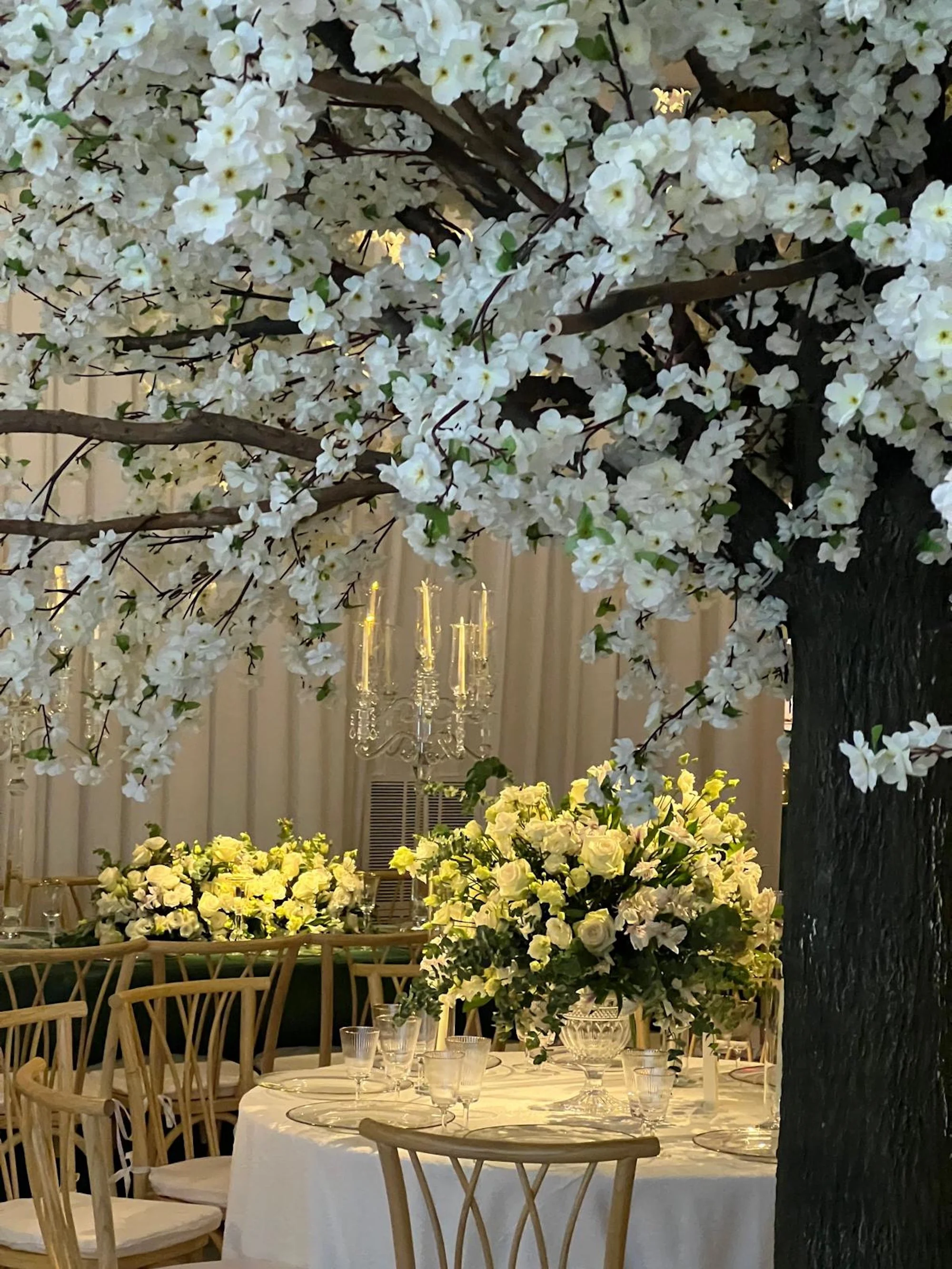 WhatsApp Image 2026-03-19 at 15.06.49 (2).jpeg