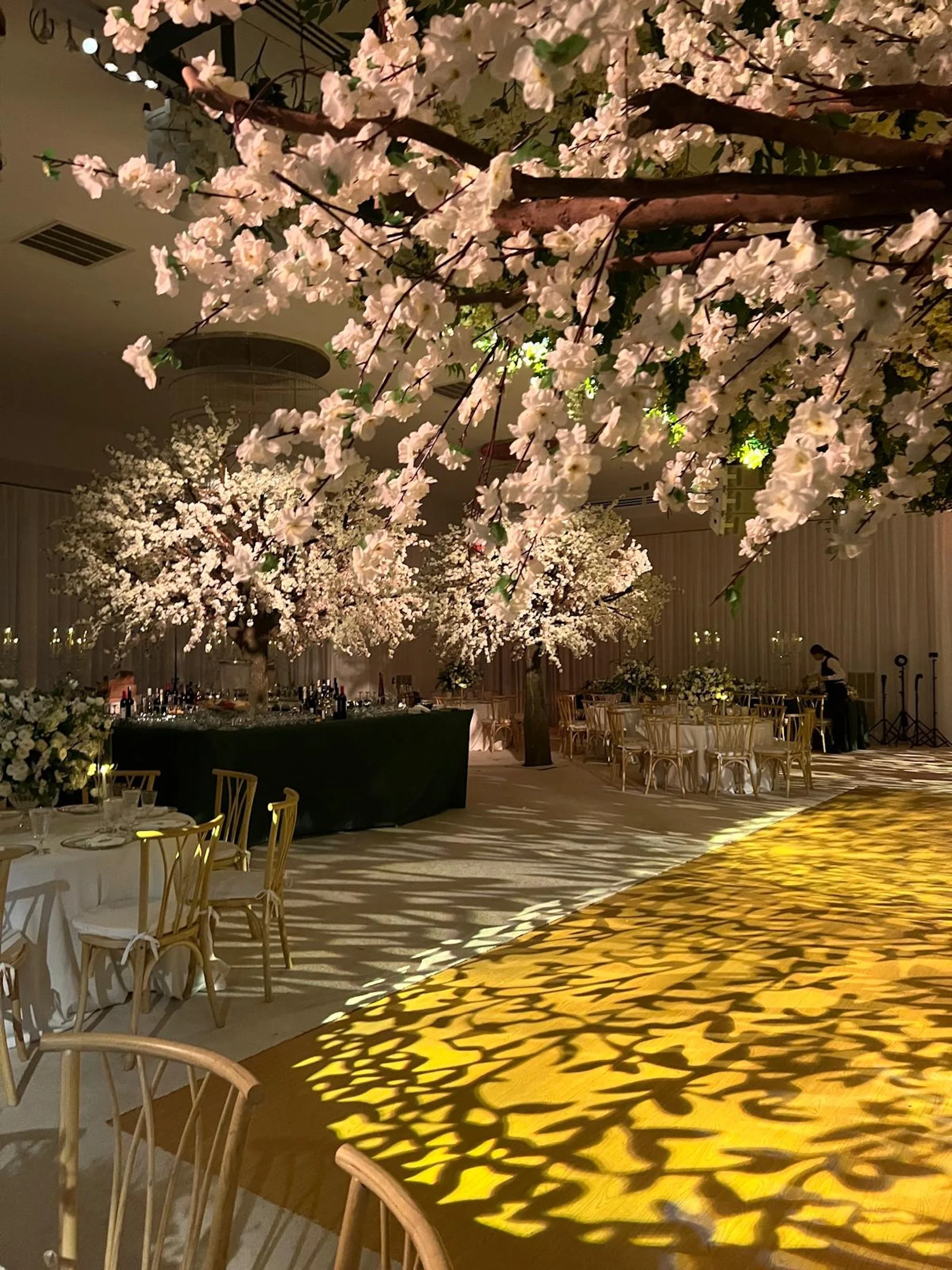 WhatsApp Image 2026-03-19 at 15.06.49 (18).jpeg