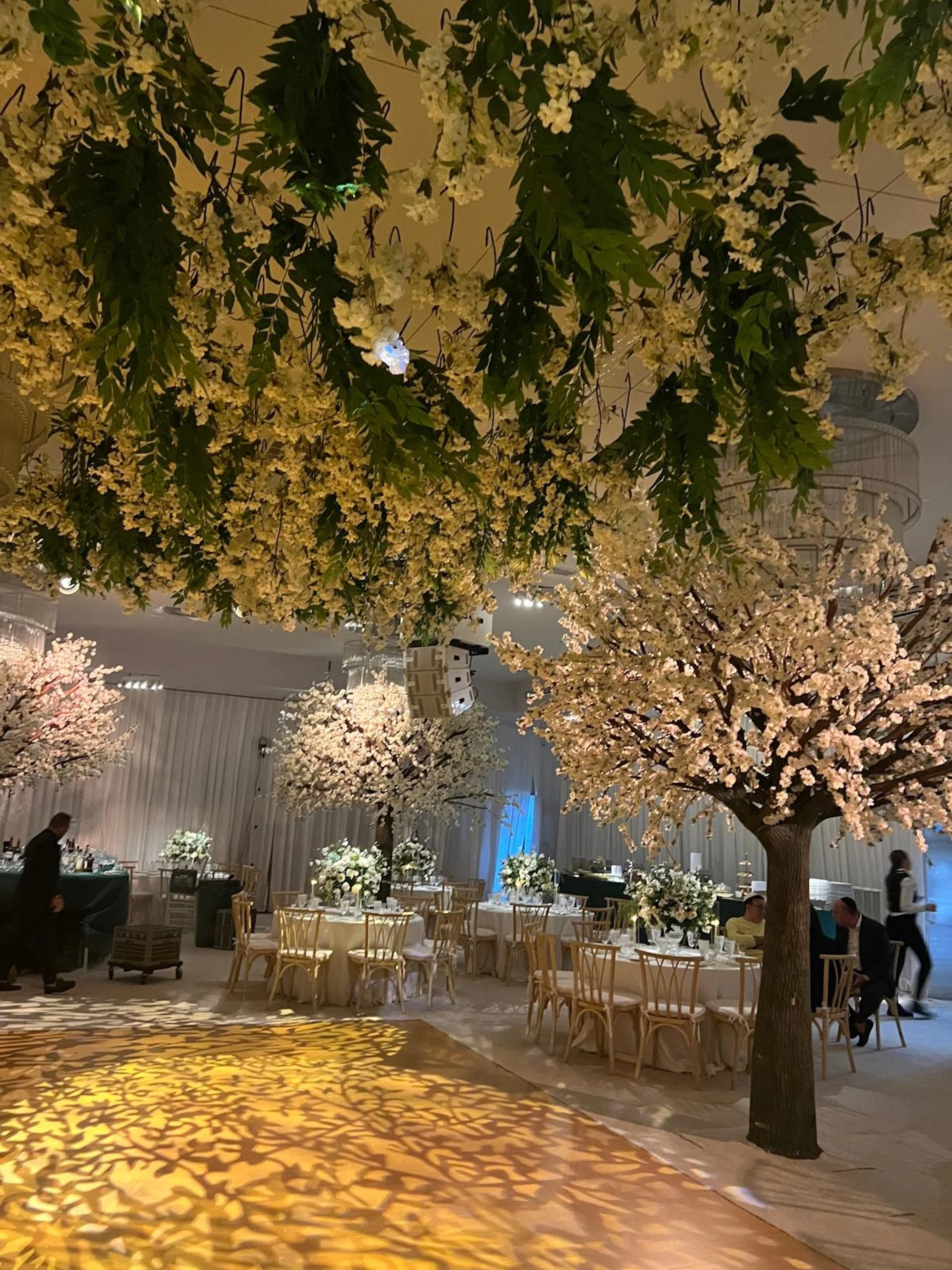 WhatsApp Image 2026-03-19 at 15.06.49 (16).jpeg