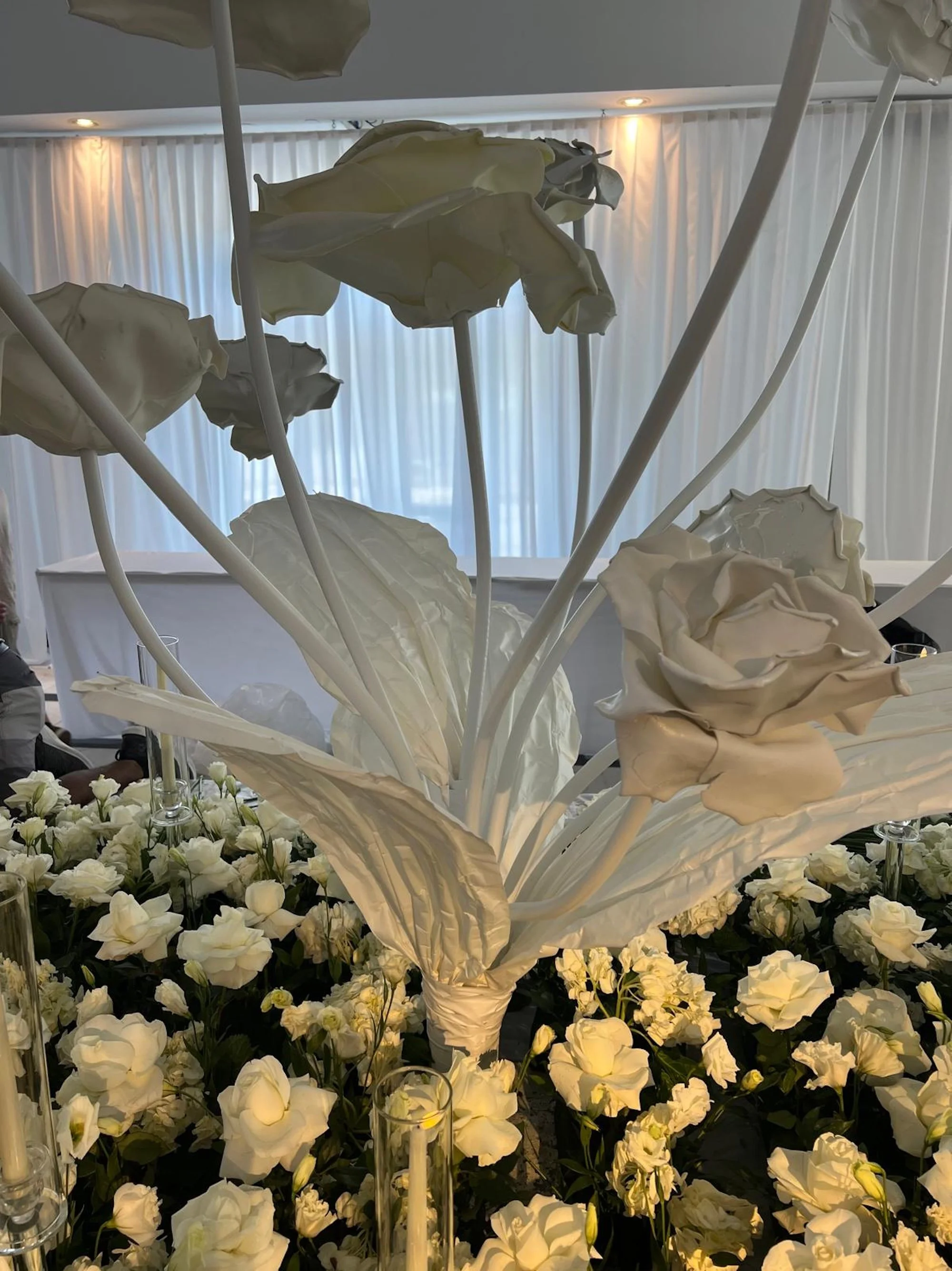 WhatsApp Image 2026-03-19 at 15.04.32 (1).jpeg