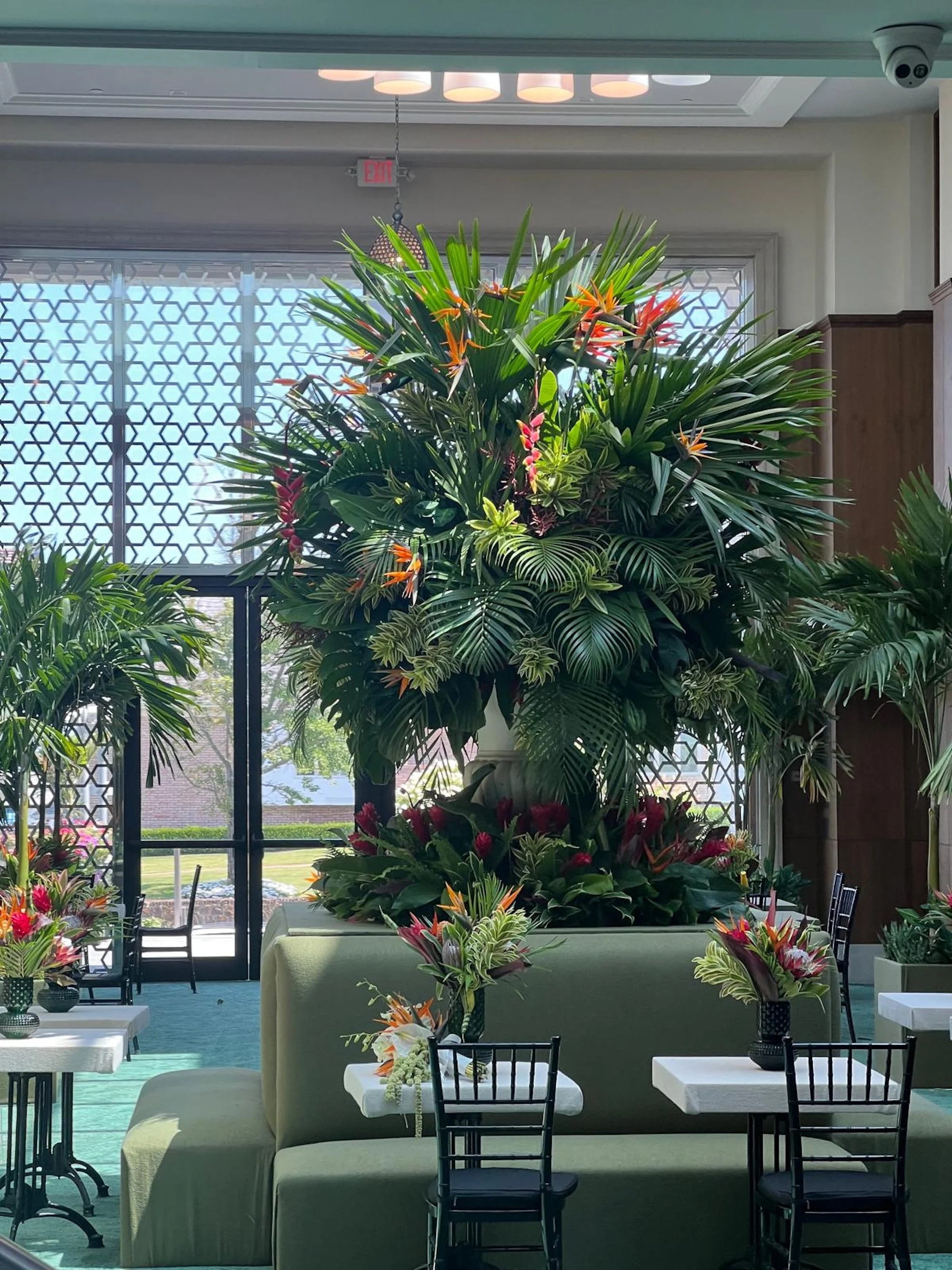 WhatsApp Image 2026-03-19 at 16.10.53 (1).jpeg