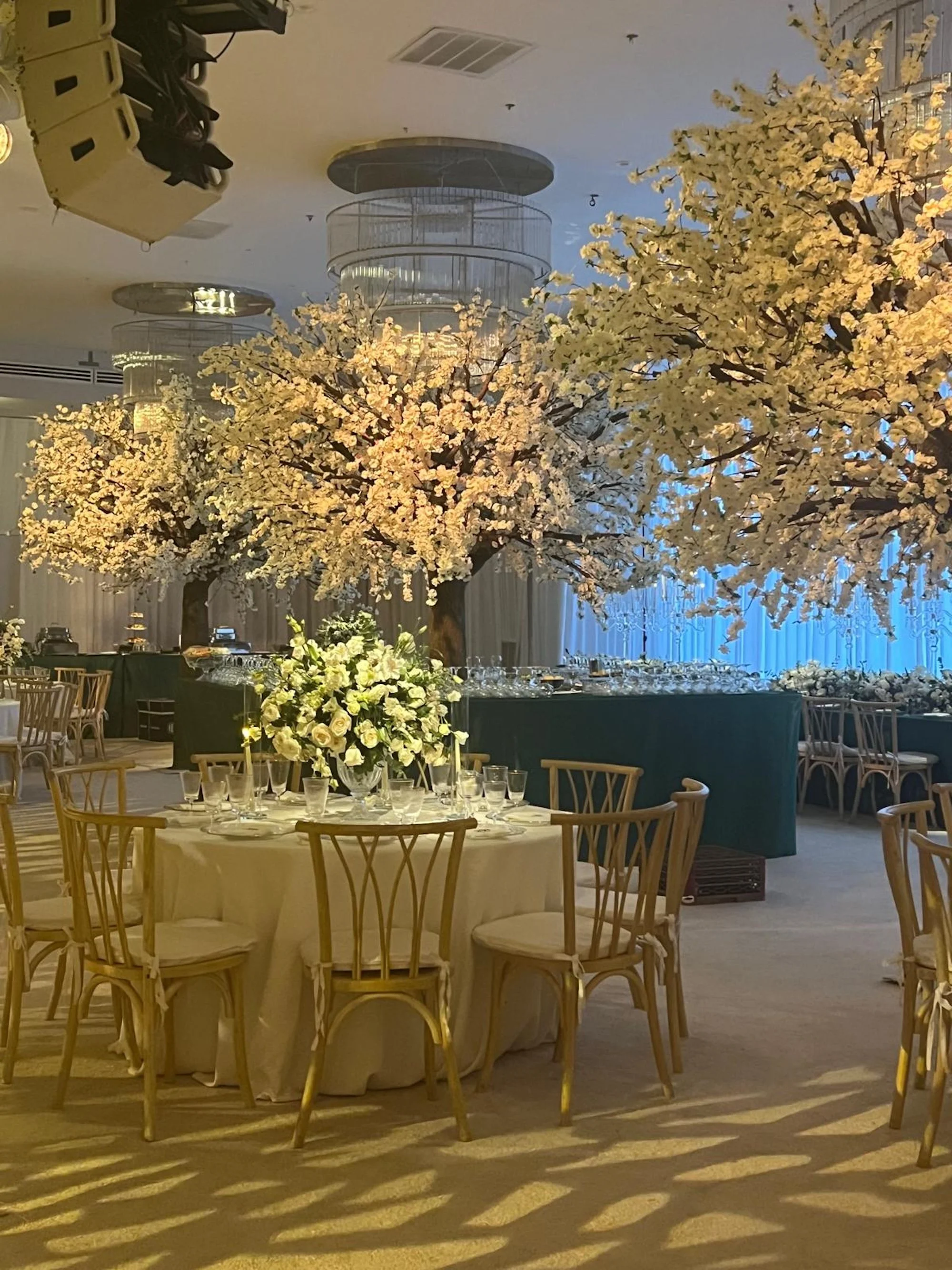 WhatsApp Image 2026-03-19 at 15.06.49 (10).jpeg