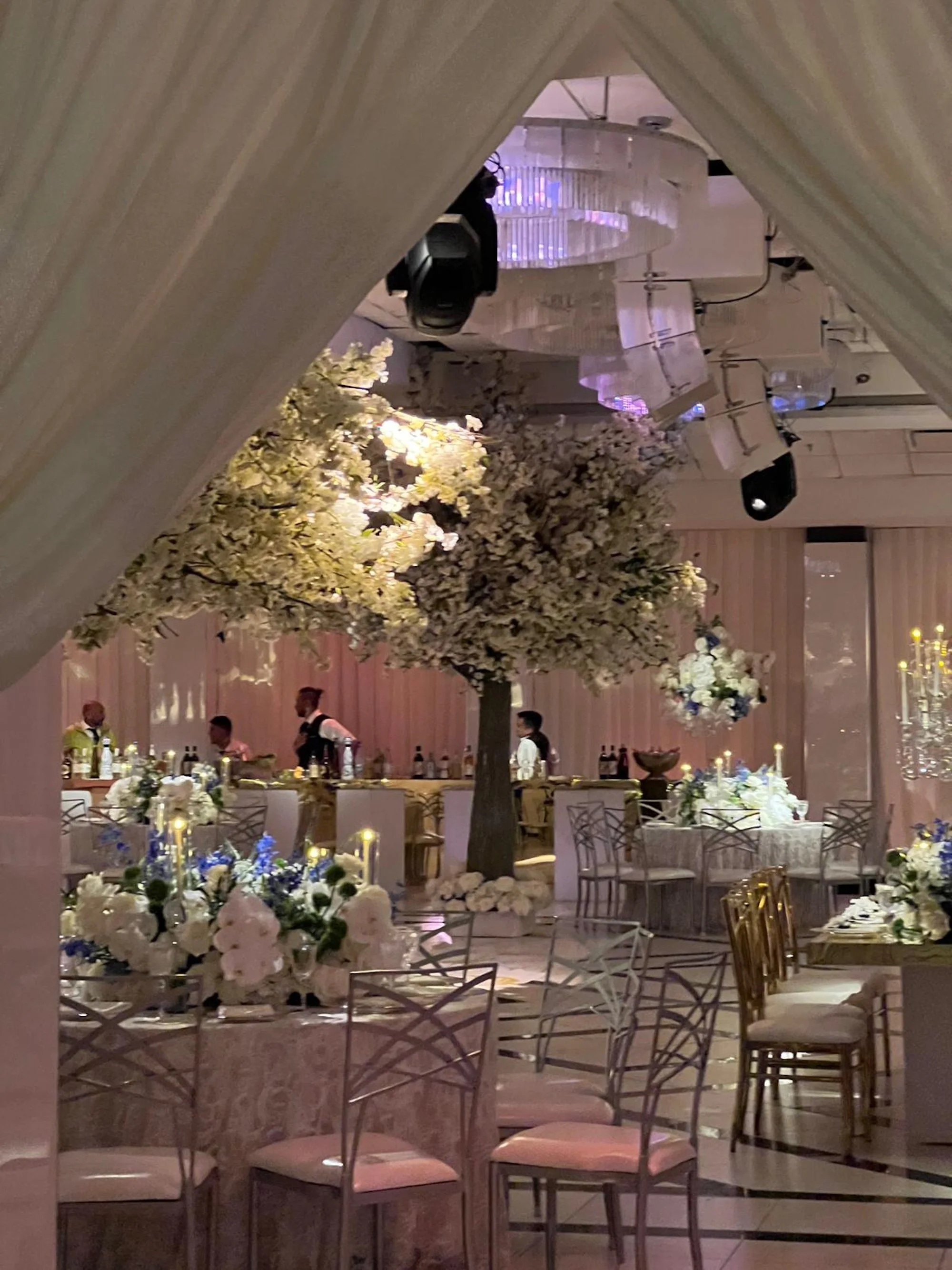 WhatsApp Image 2026-03-19 at 16.12.50--.jpeg