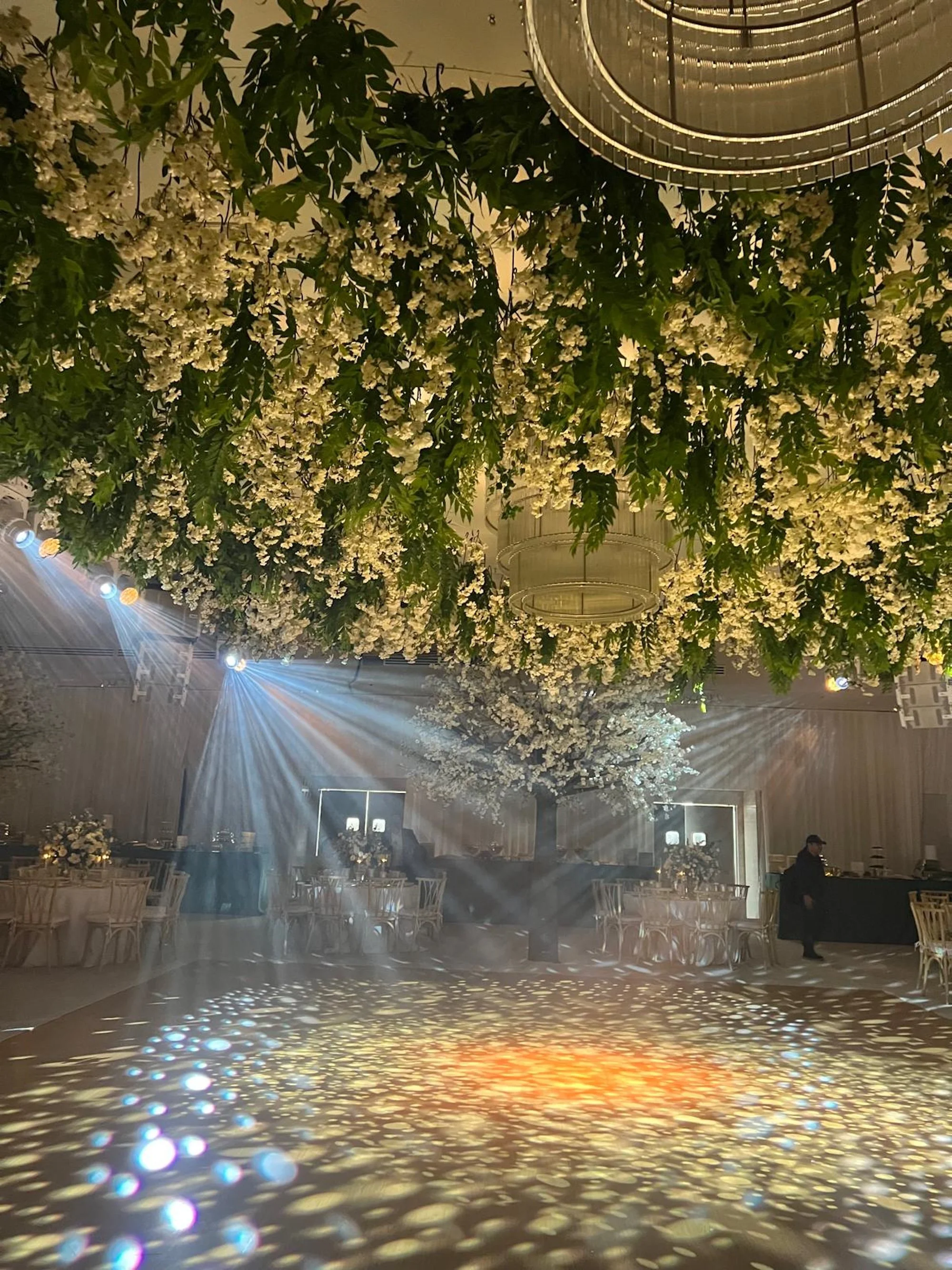 WhatsApp Image 2026-03-19 at 15.06.49 (19).jpeg