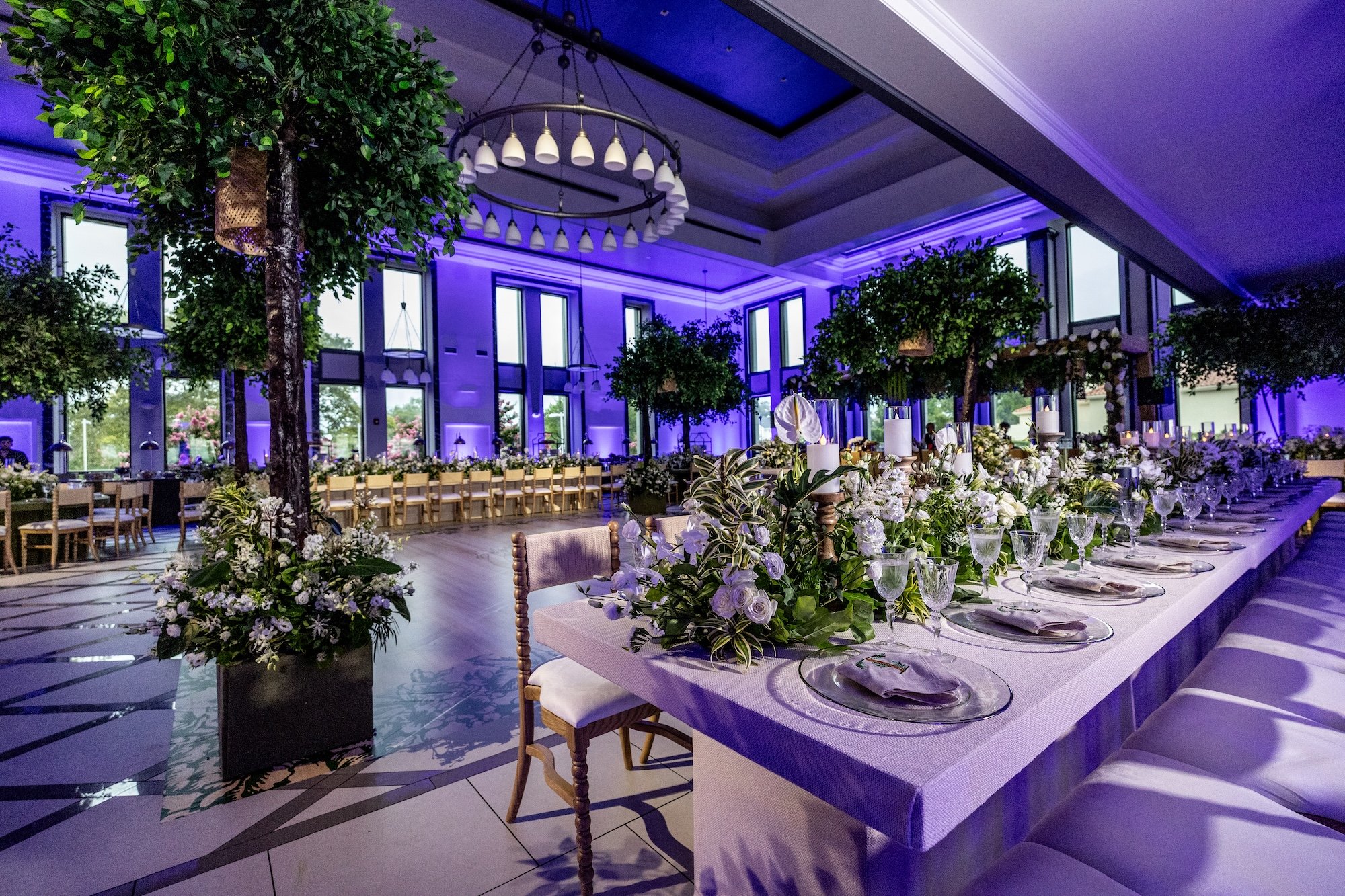 Iris and David-0823.jpg