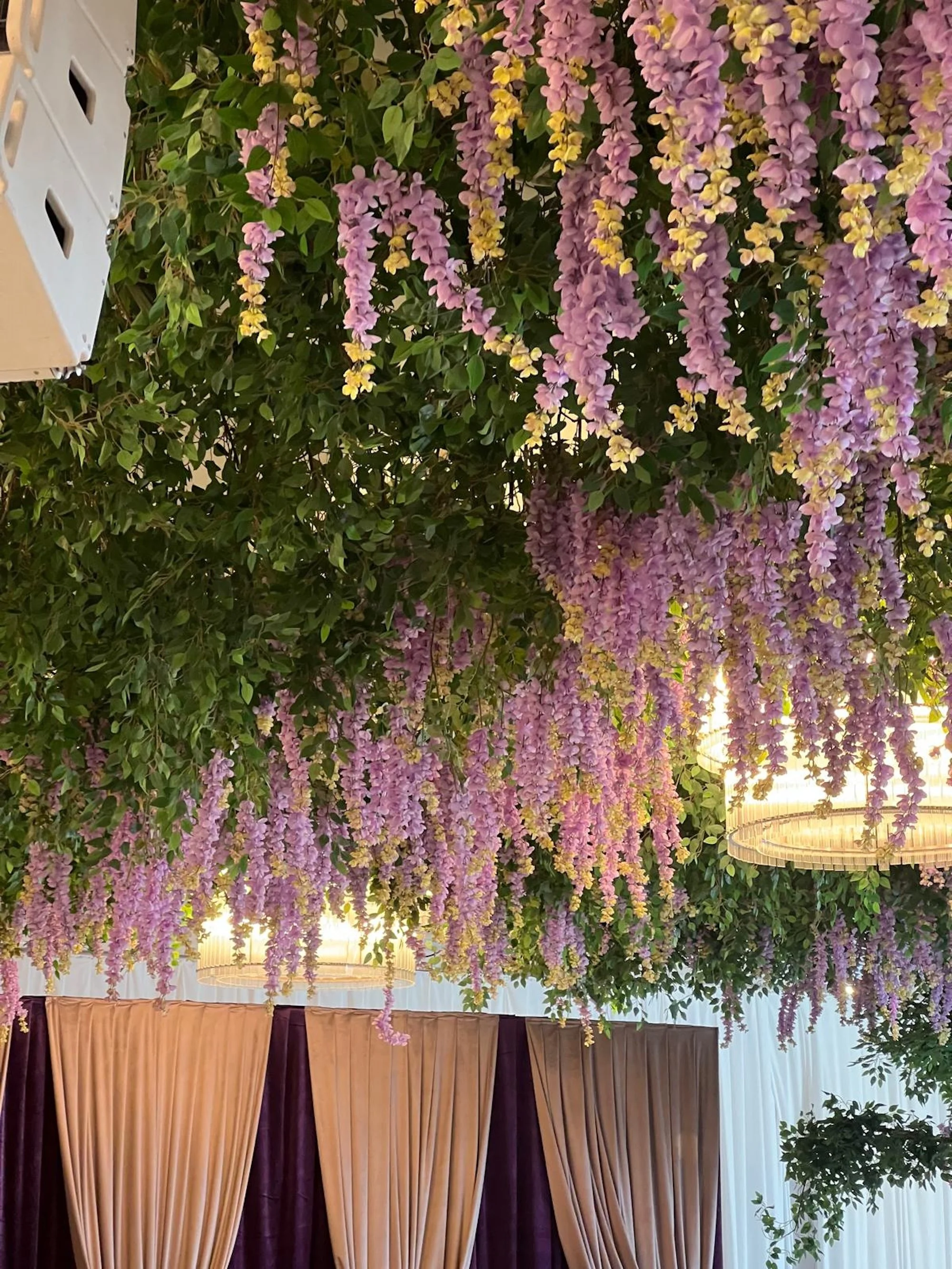 WhatsApp Image 2026-03-19 at 16.05.06 (5).jpeg