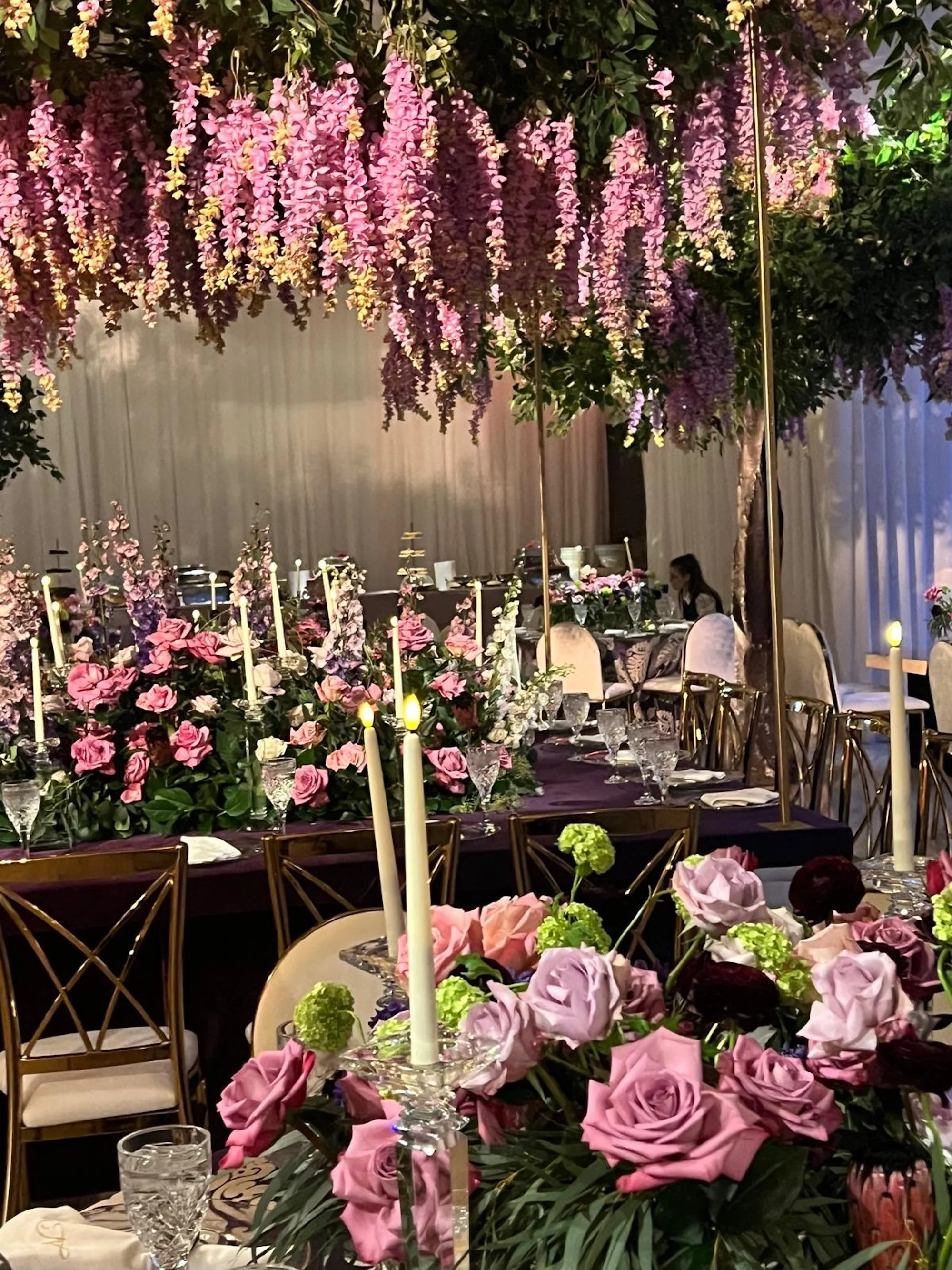 WhatsApp Image 2026-03-19 at 16.05.06--.jpeg