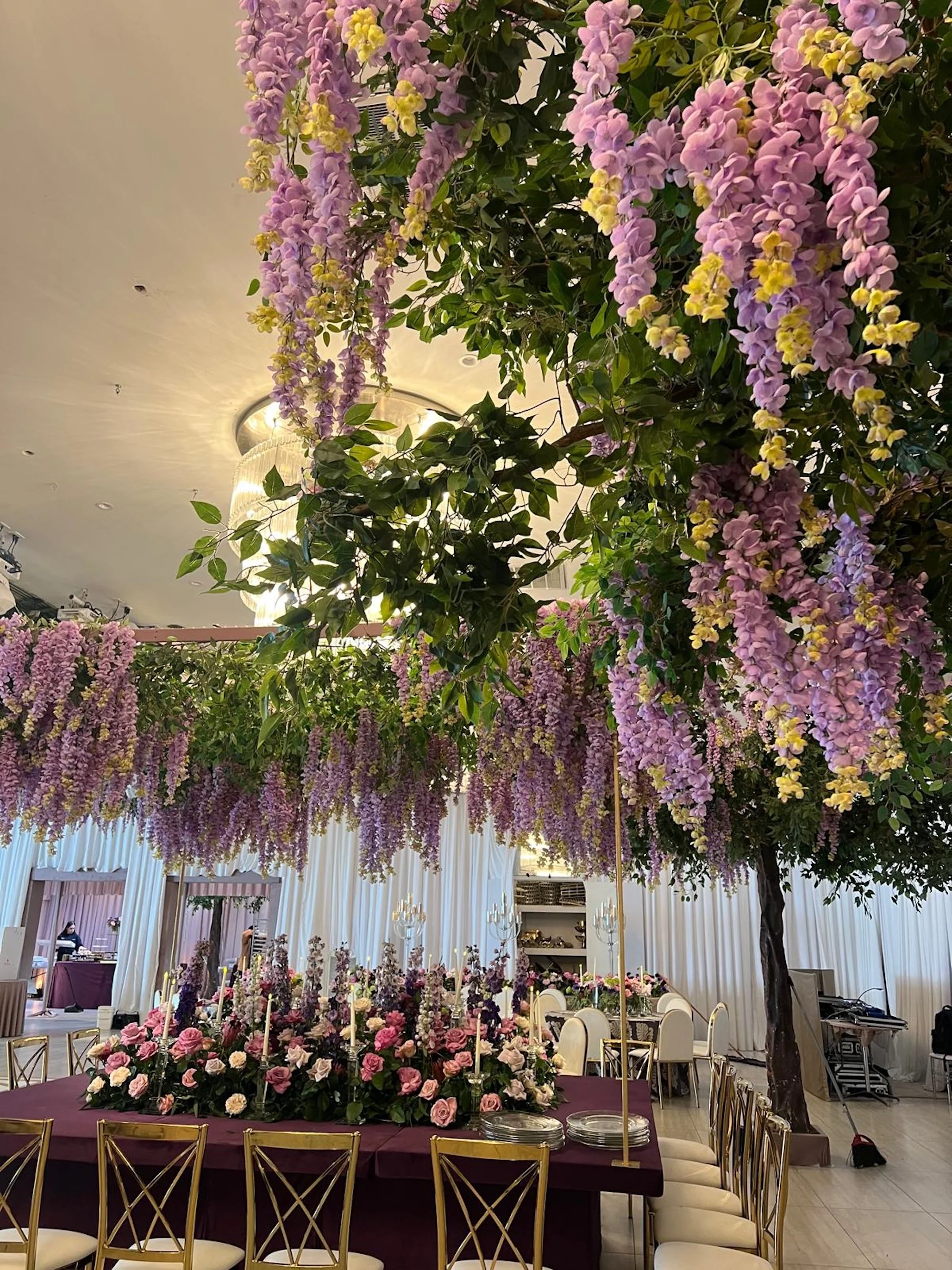 WhatsApp Image 2026-03-19 at 16.05.06 (11).jpeg