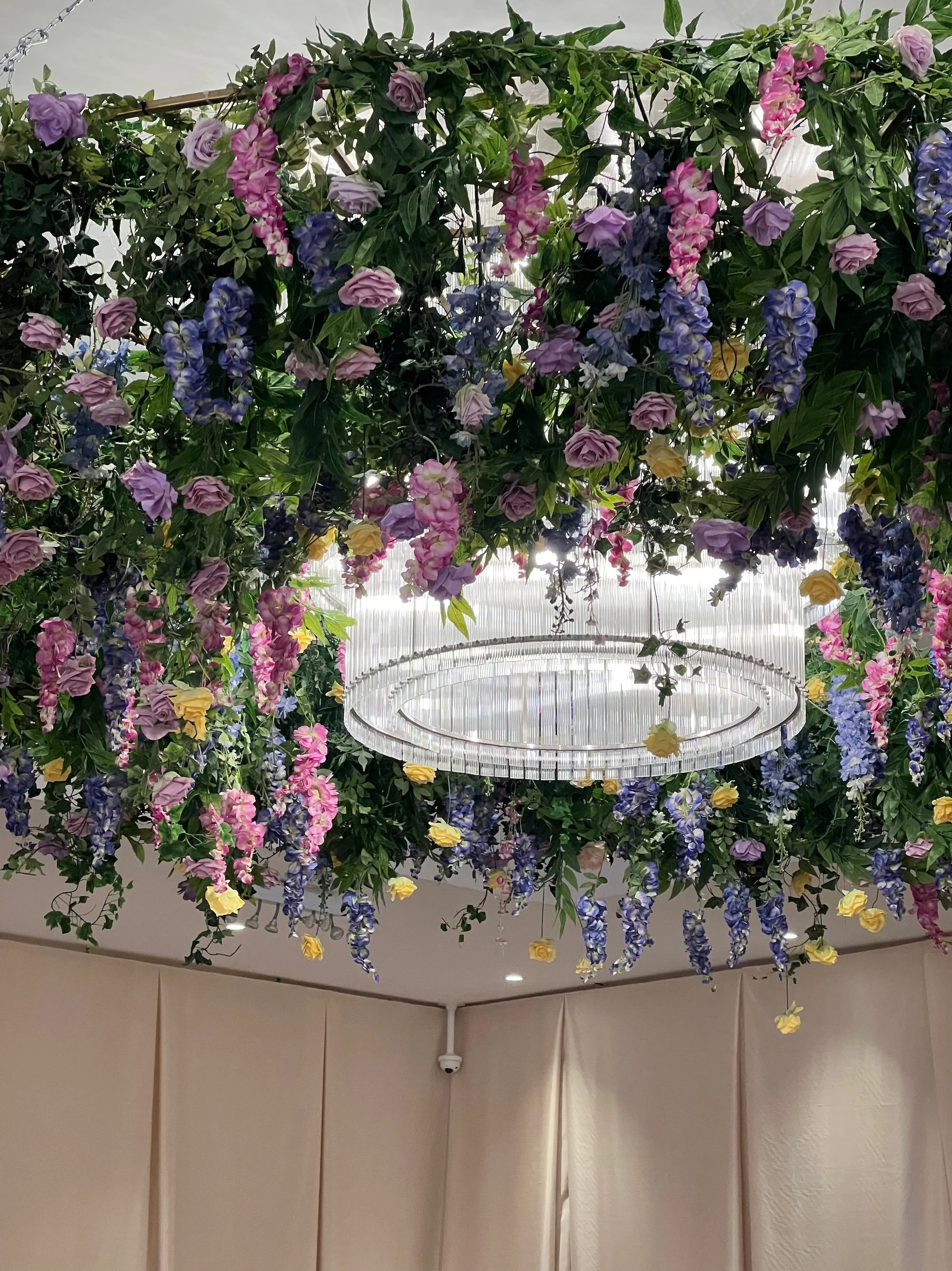 Photo Apr 11 2024, 2 45 16 PM (2) (1).jpg