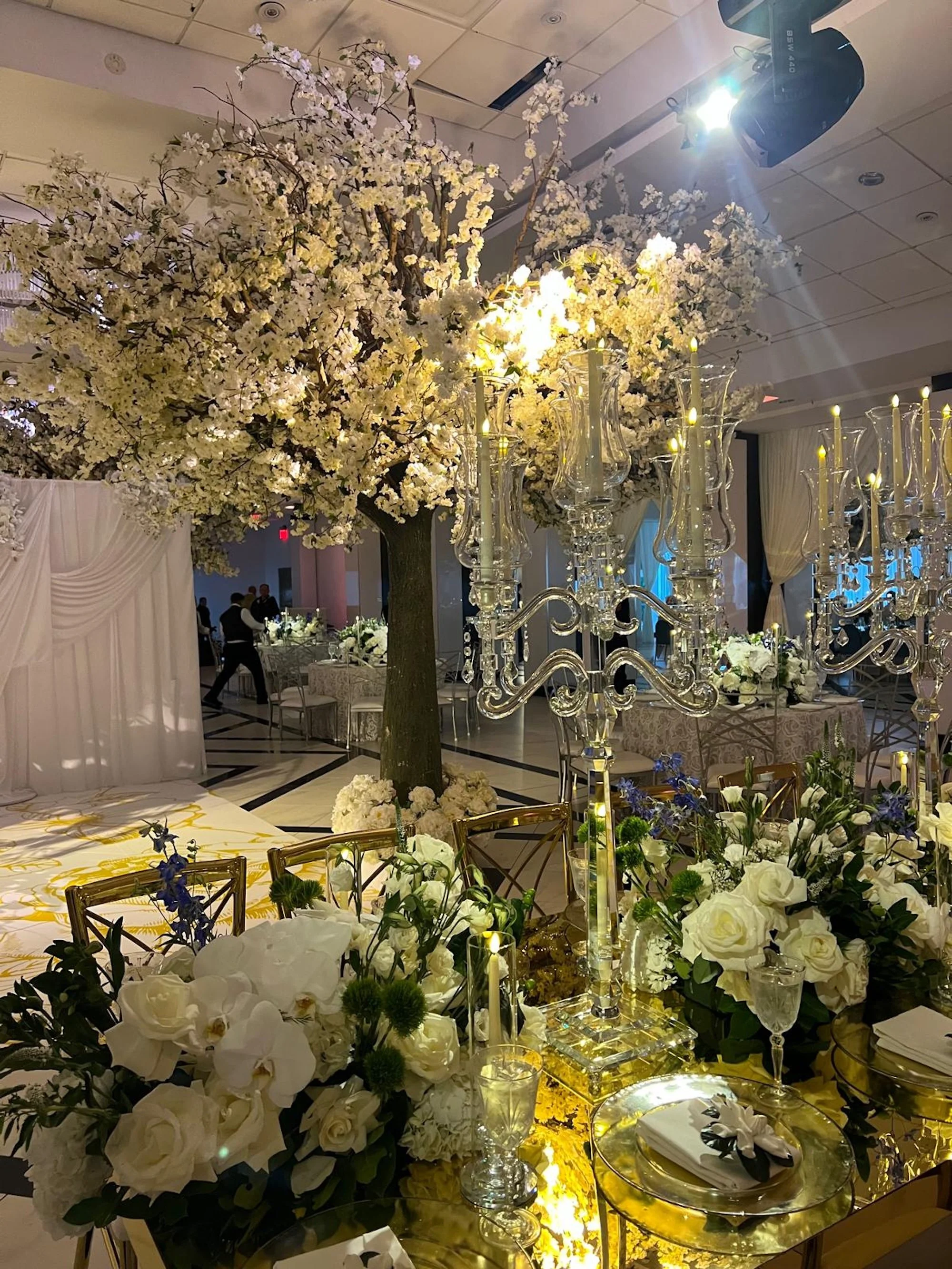 WhatsApp Image 2026-03-19 at 16.12.50 (7).jpeg