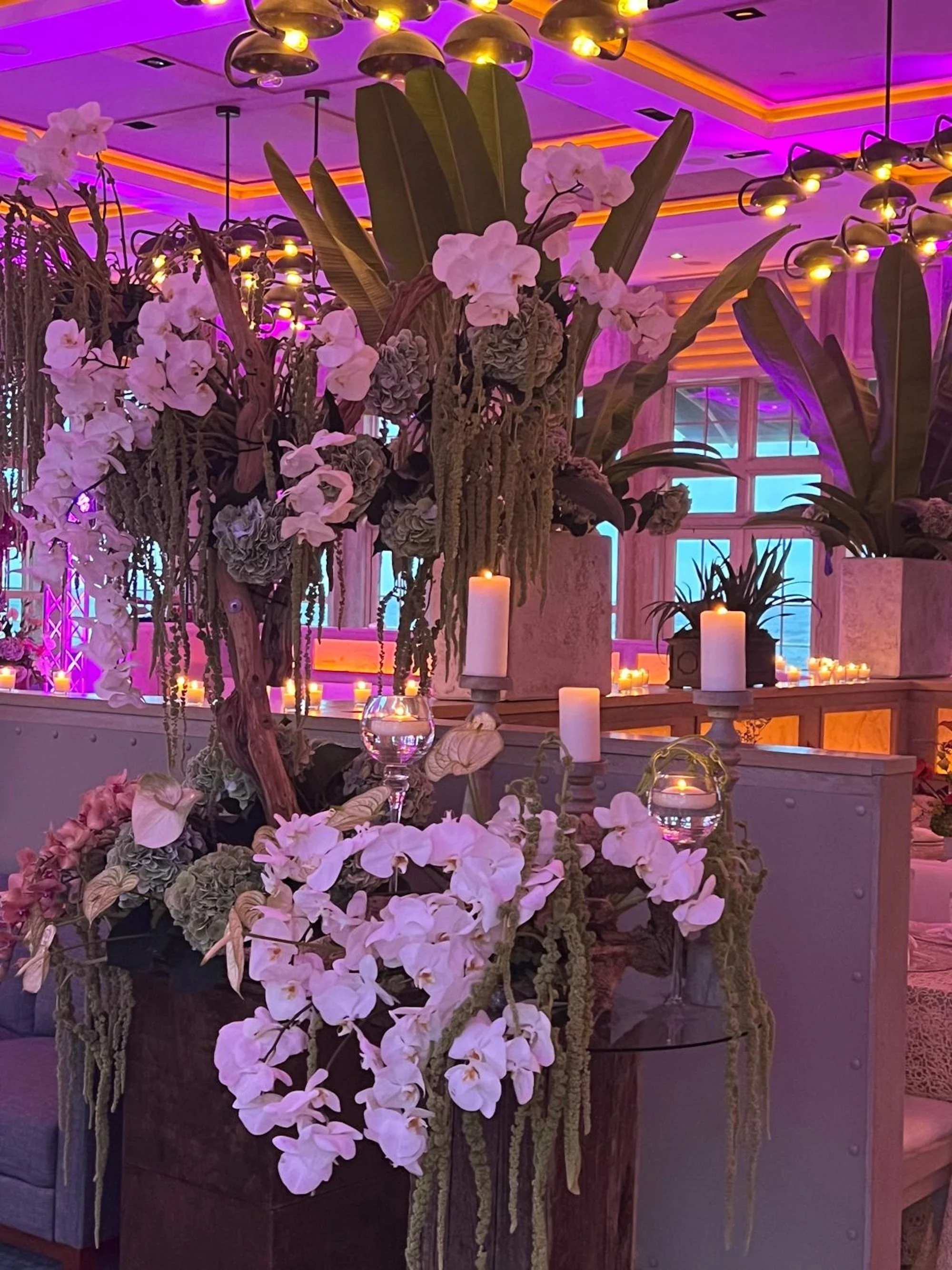 WhatsApp Image 2026-03-19 at 15.04.32 (22).jpeg