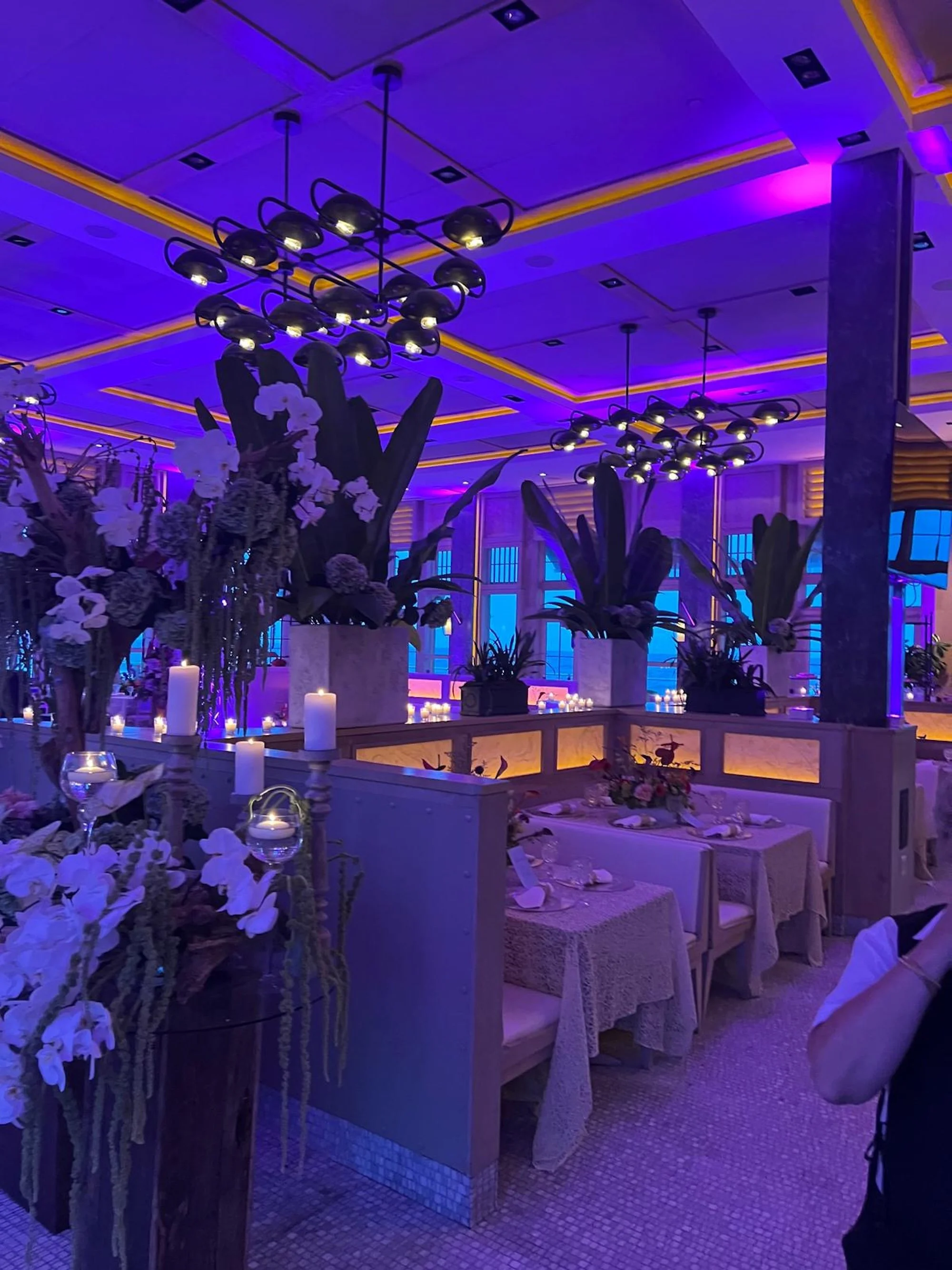 WhatsApp Image 2026-03-19 at 15.04.32 (25).jpeg