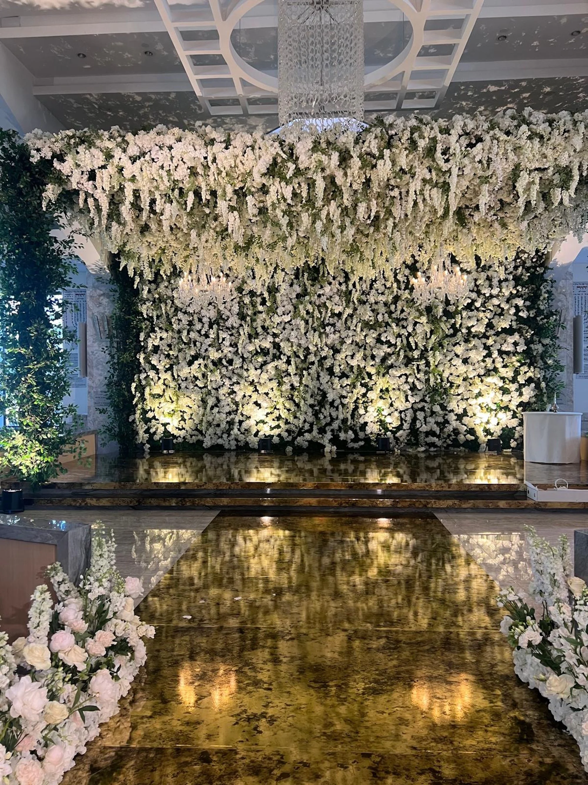 WhatsApp Image 2026-03-19 at 15.09.49.jpeg