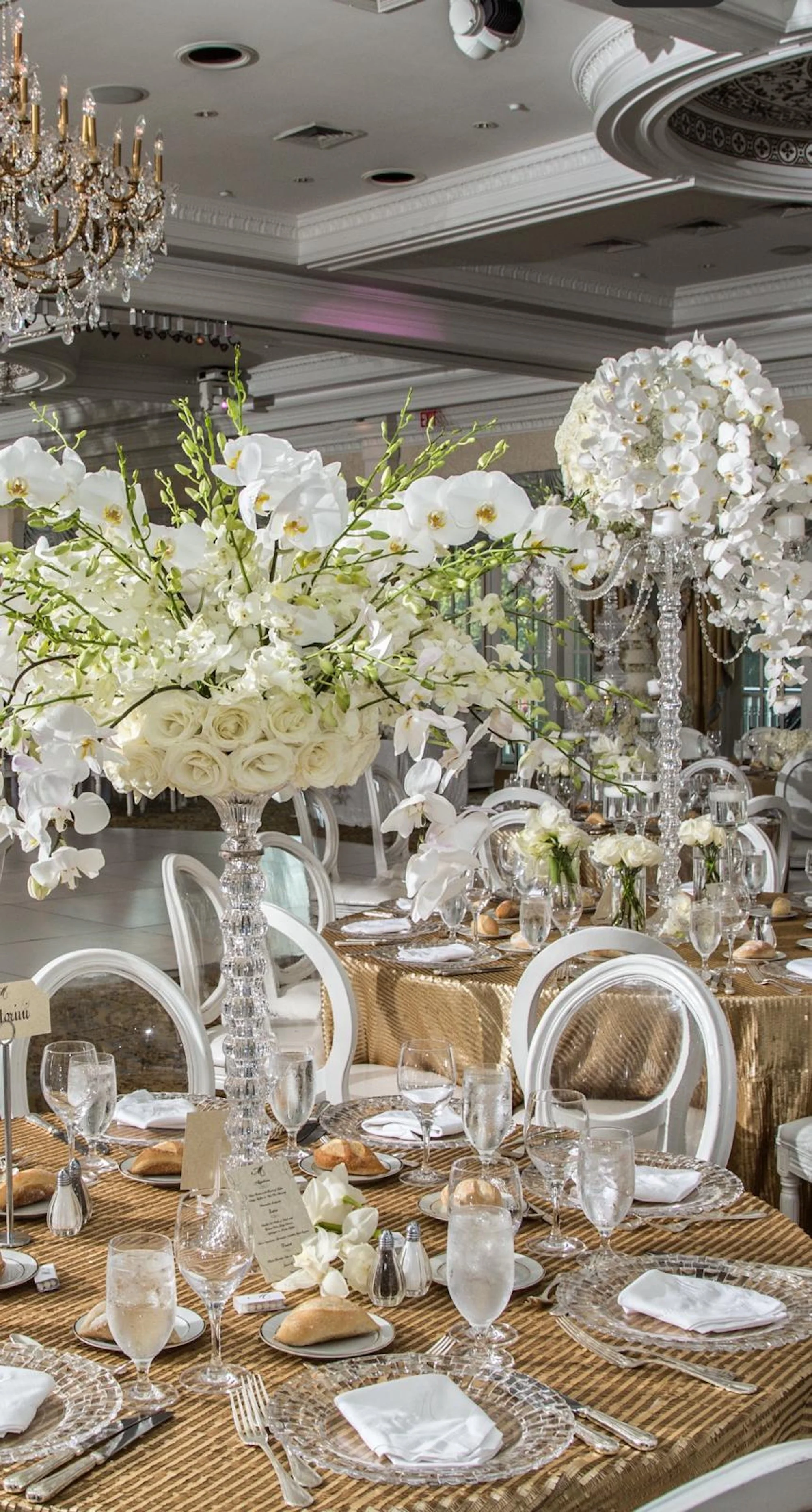 WhatsApp Image 2026-03-19 at 15.04.30.jpeg