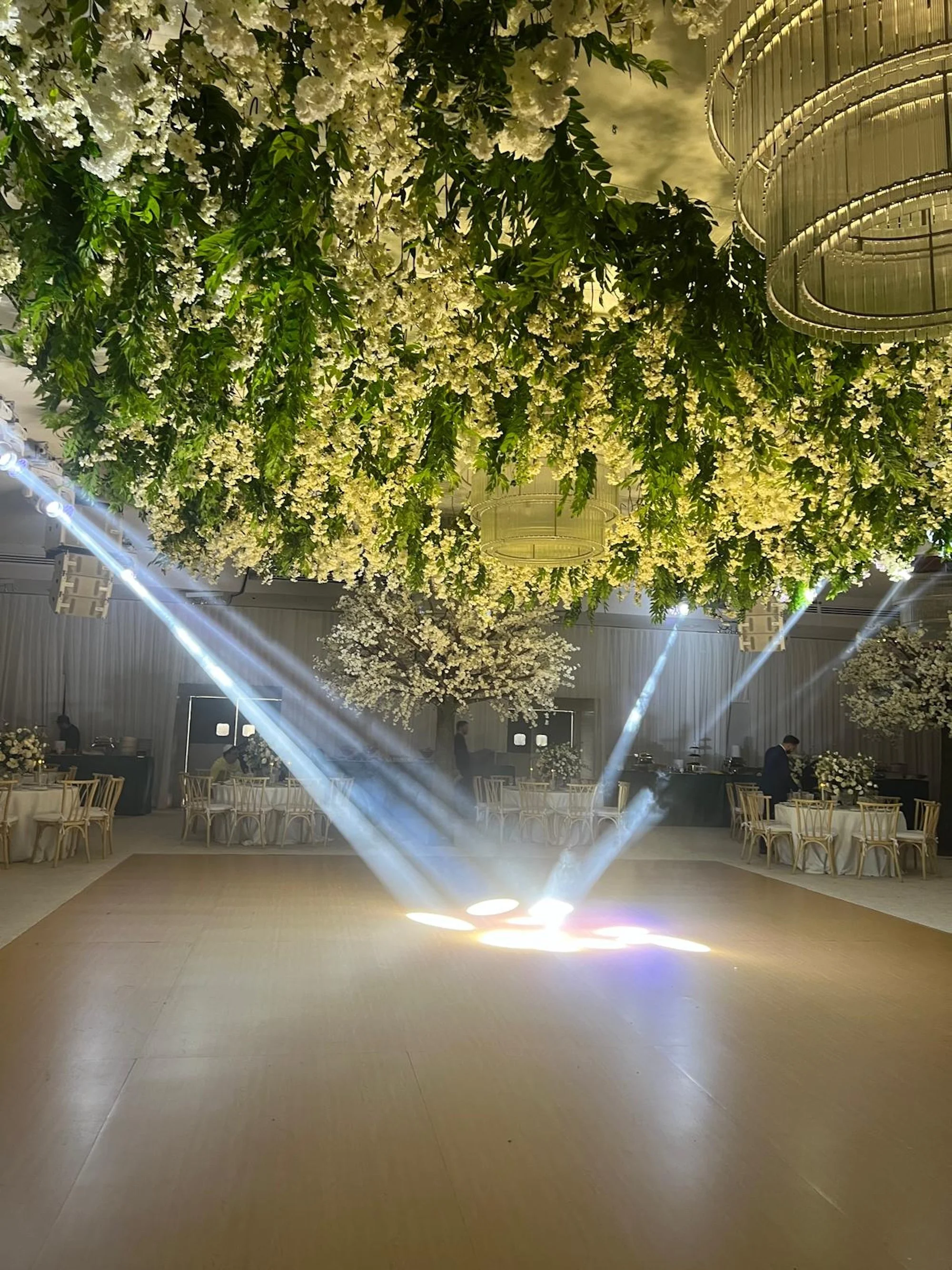 WhatsApp Image 2026-03-19 at 15.06.49 (22).jpeg