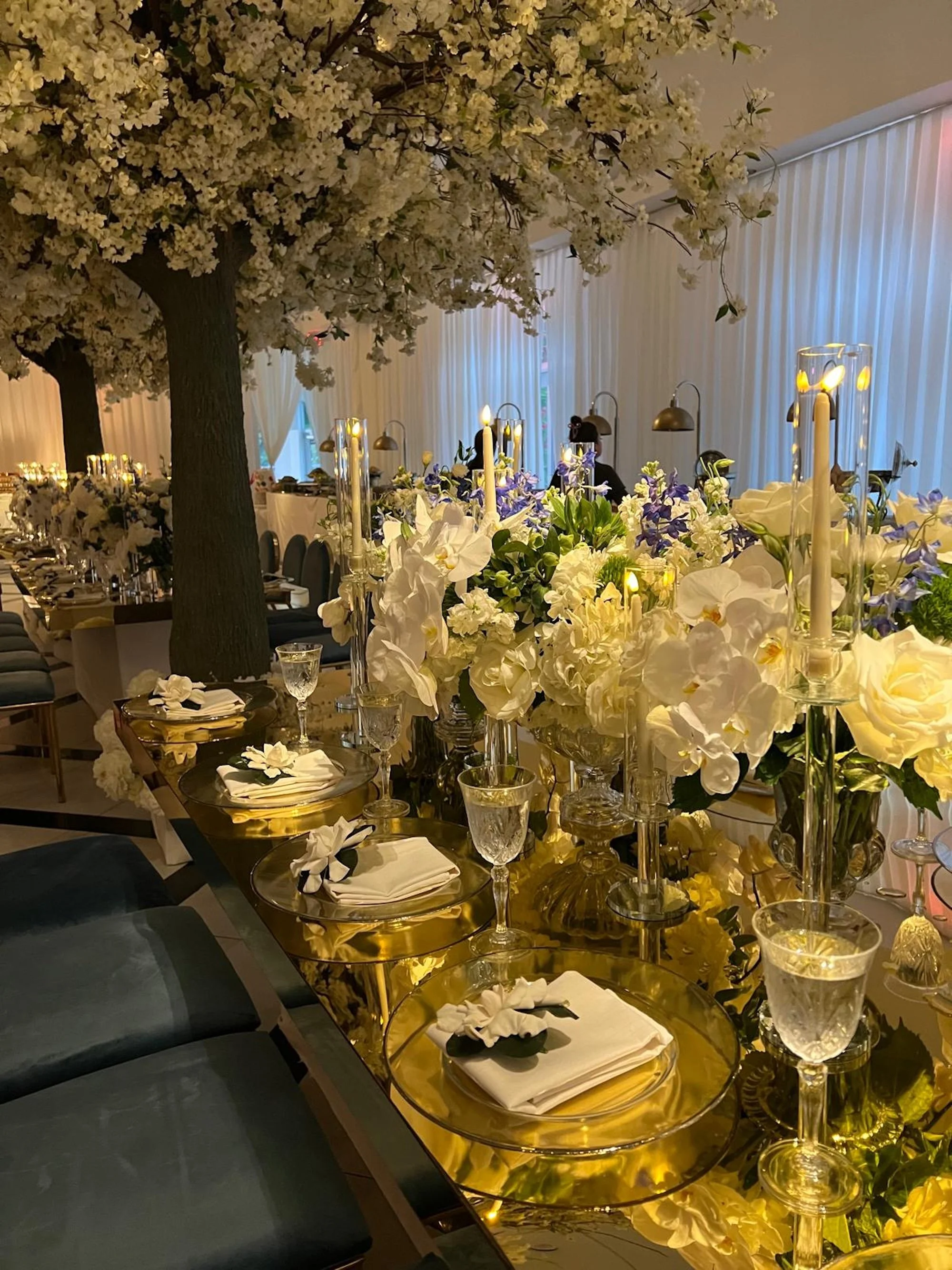 WhatsApp Image 2026-03-19 at 16.12.50 (8).jpeg