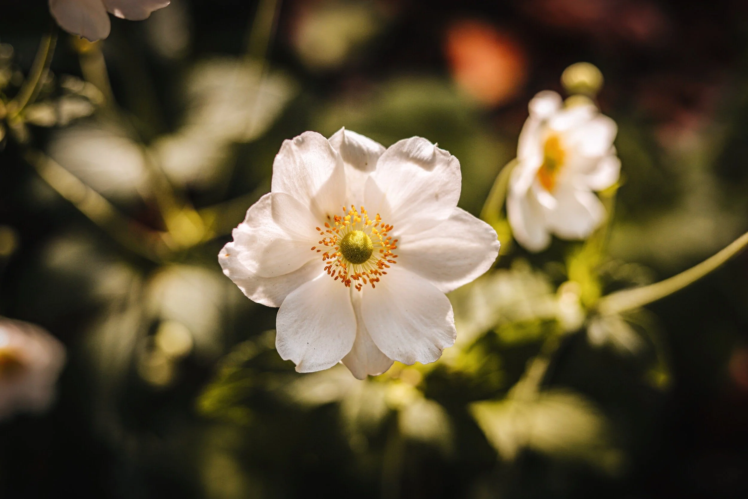0461E041-AF9B-4A26-BC99-A772202BF1A8.JPG