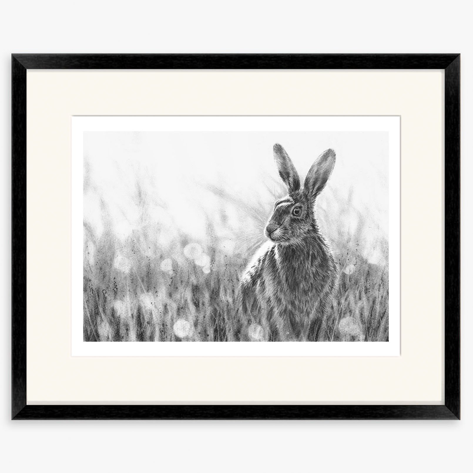 Hare_Autumn_black.jpg