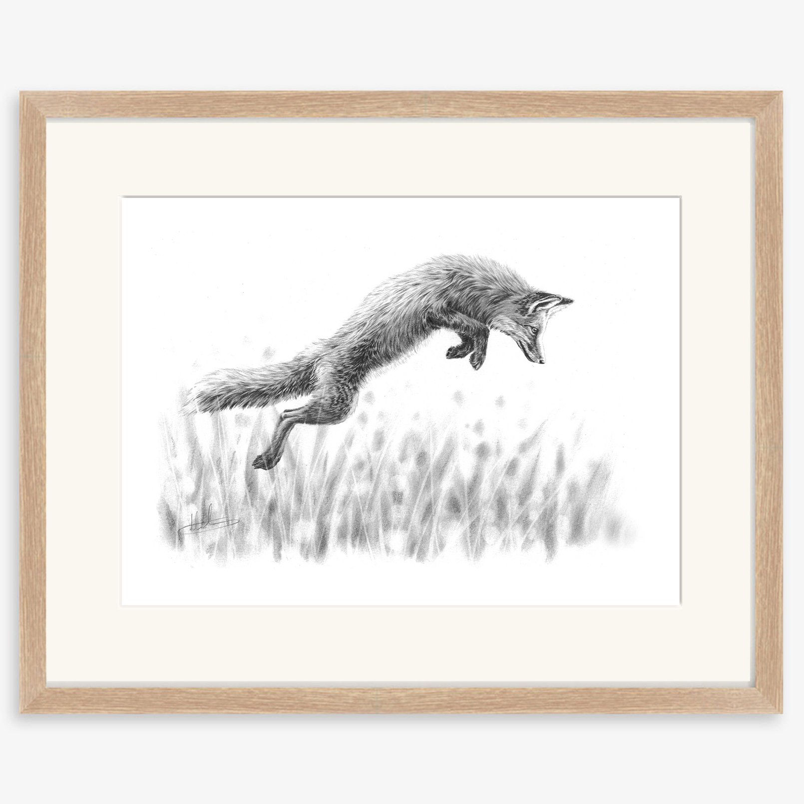 fox_leaping_oak.jpg