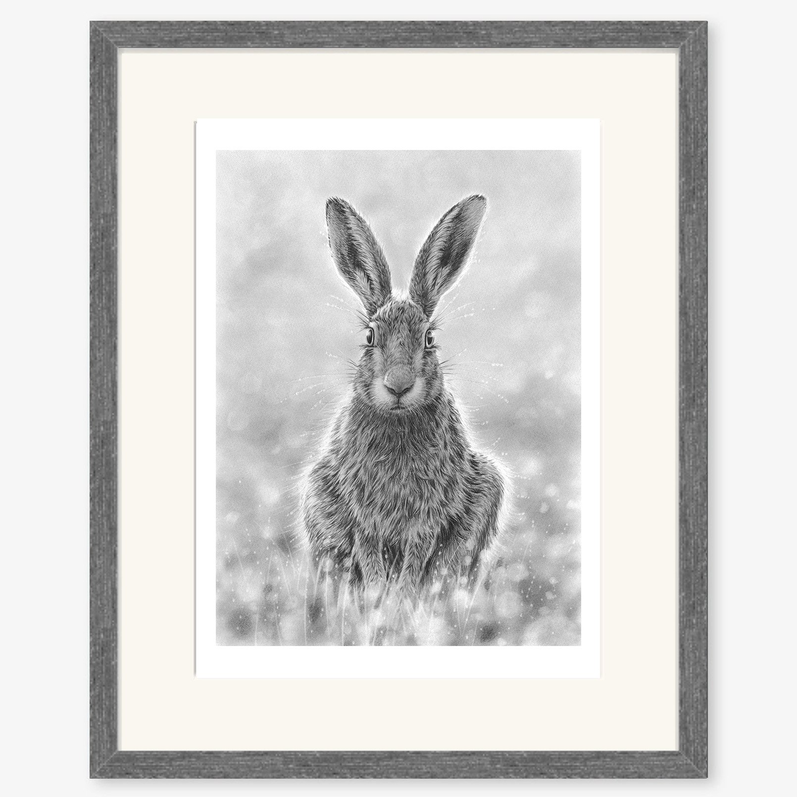 Hare_Evening_charcoal.jpg