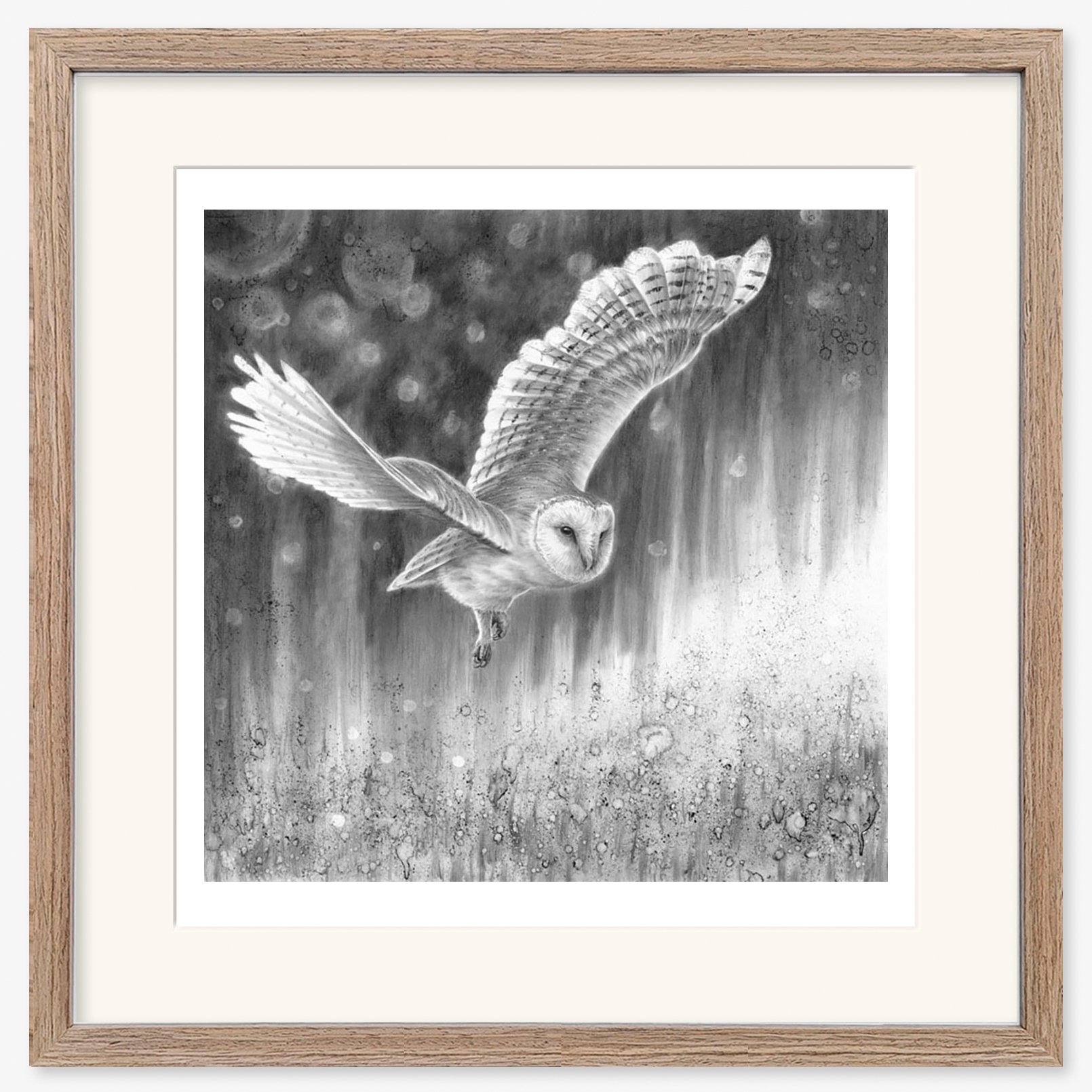 barn_owl_at_night-1_walnut.jpg
