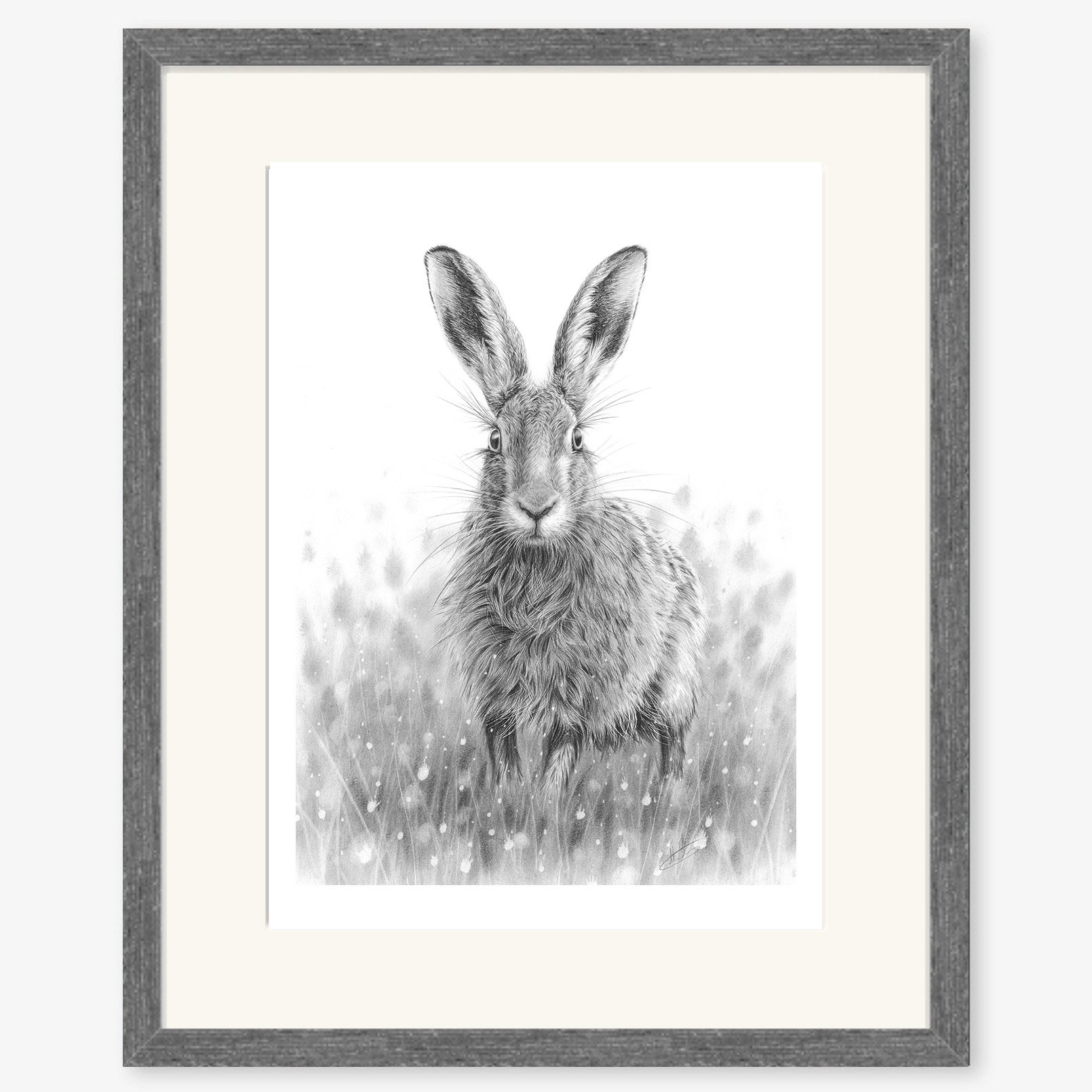 hare_poised_charcoal.jpg
