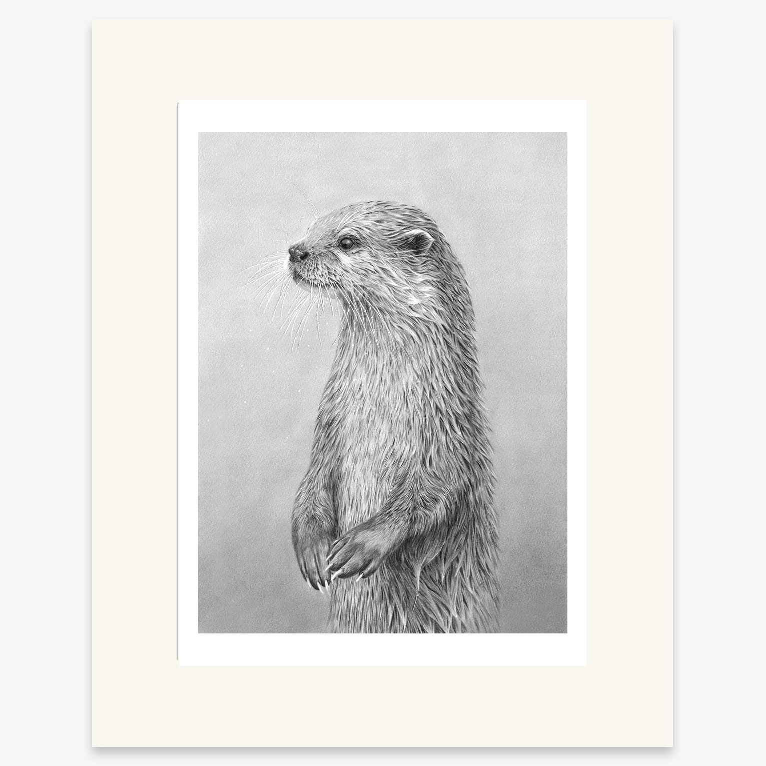 Otter_standing_mounted.jpg