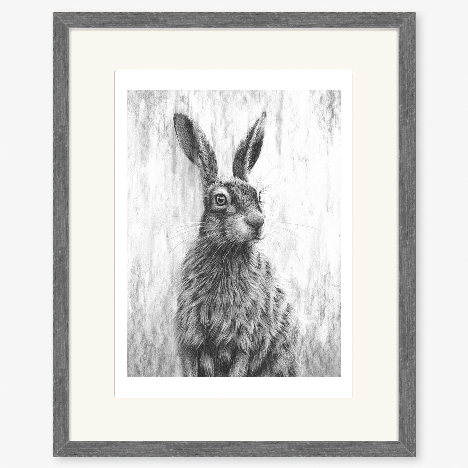 Brown_Hare_iii_charcoal.jpg