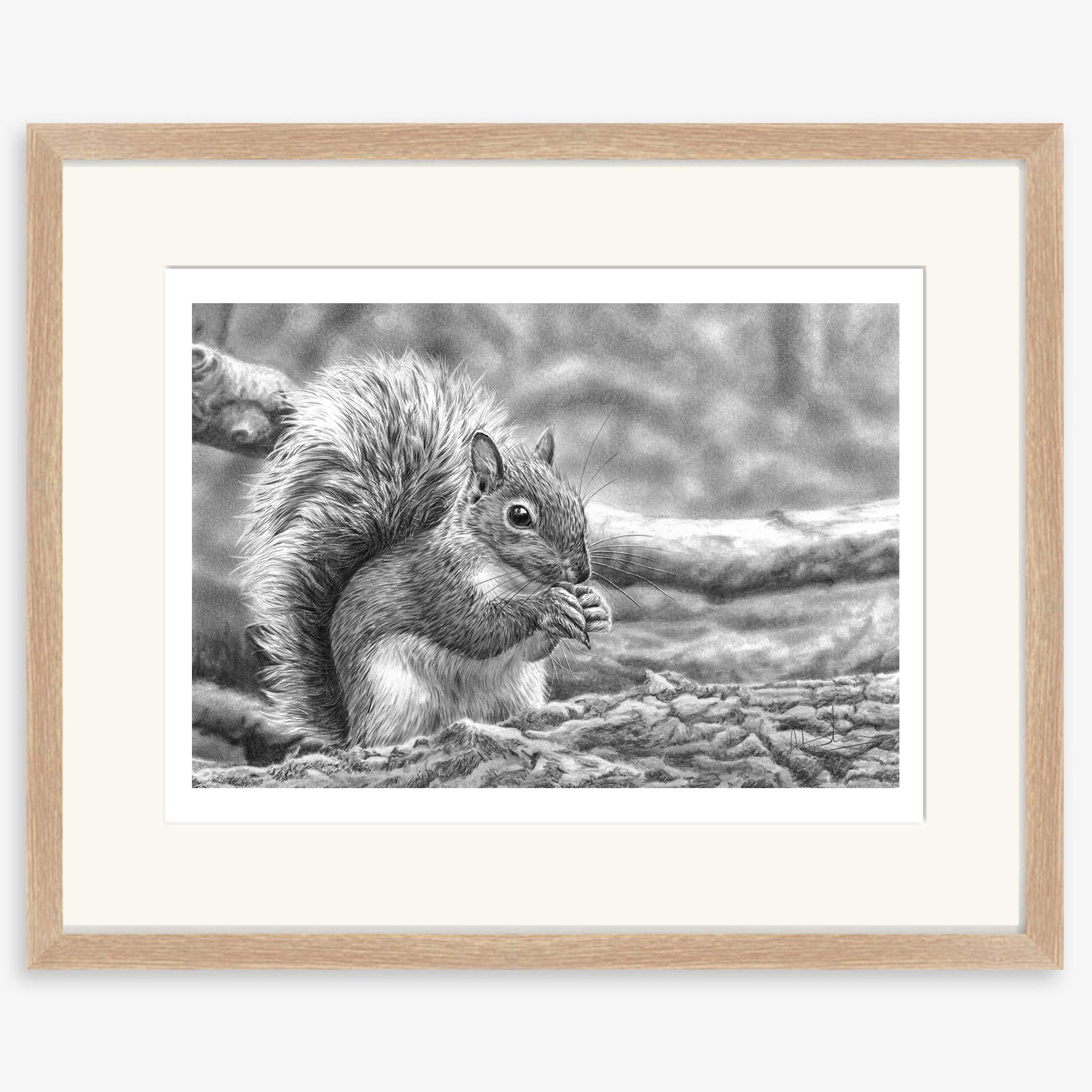 Squirrelling_away_oak.jpg
