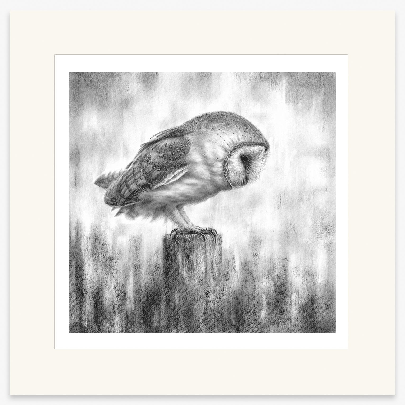 barn-owl-waiting_mounted.jpg