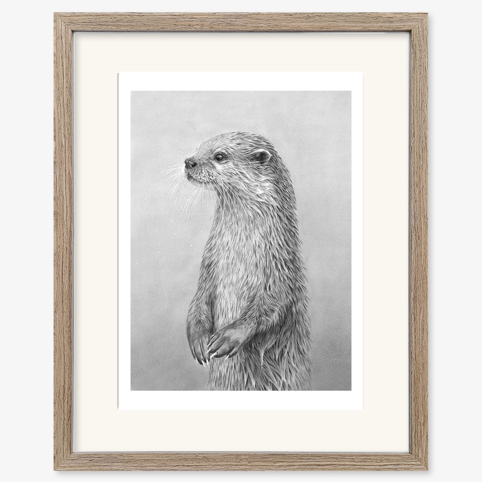 Otter_standing_walnut.jpg