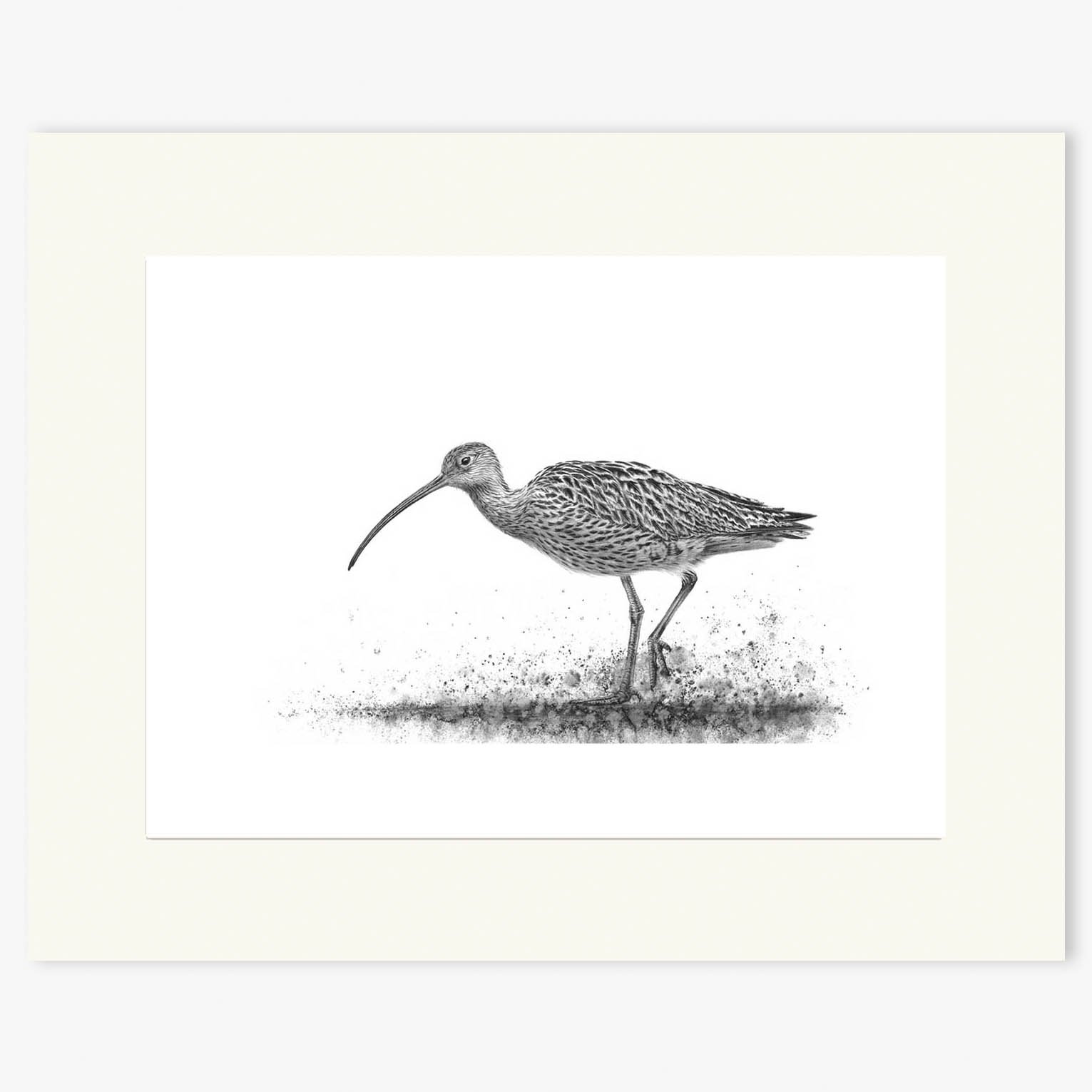 curlew-wading-I_mounted.jpg