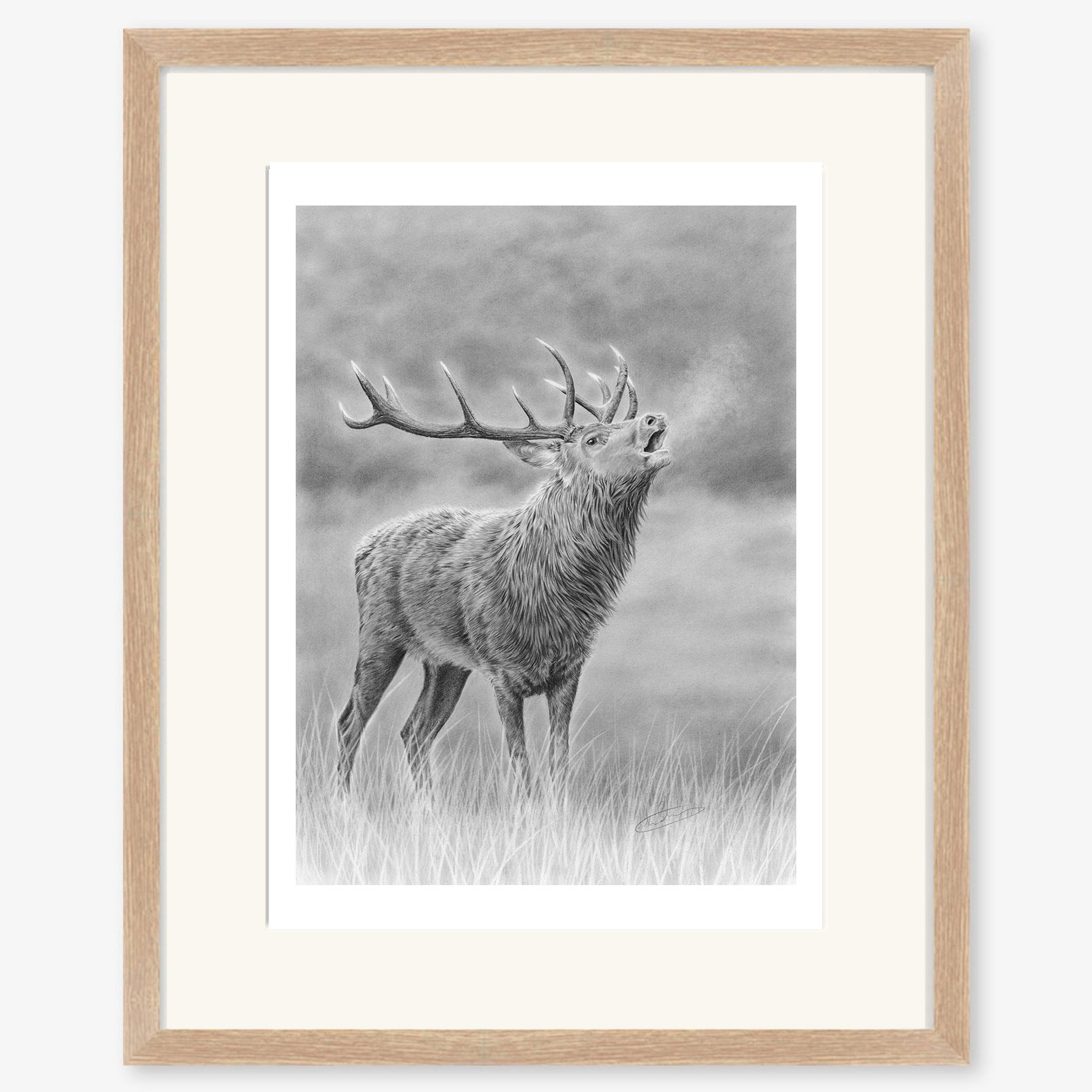 roaring_stag_oak.jpg