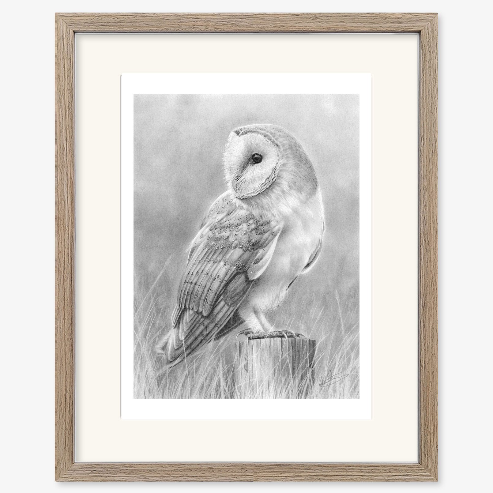 Barn Owl 2_walnut.jpg