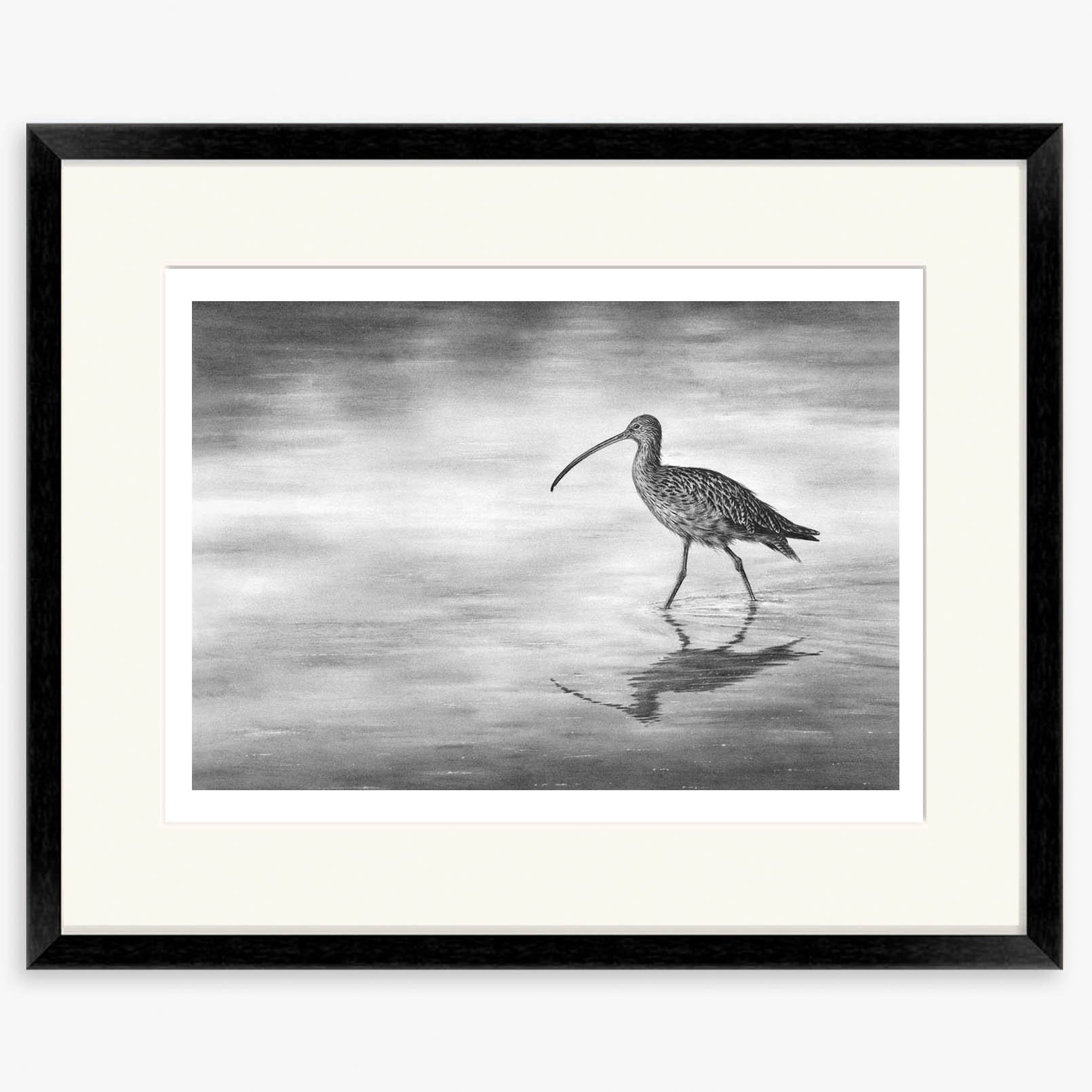 curlew-wading-II_black.jpg