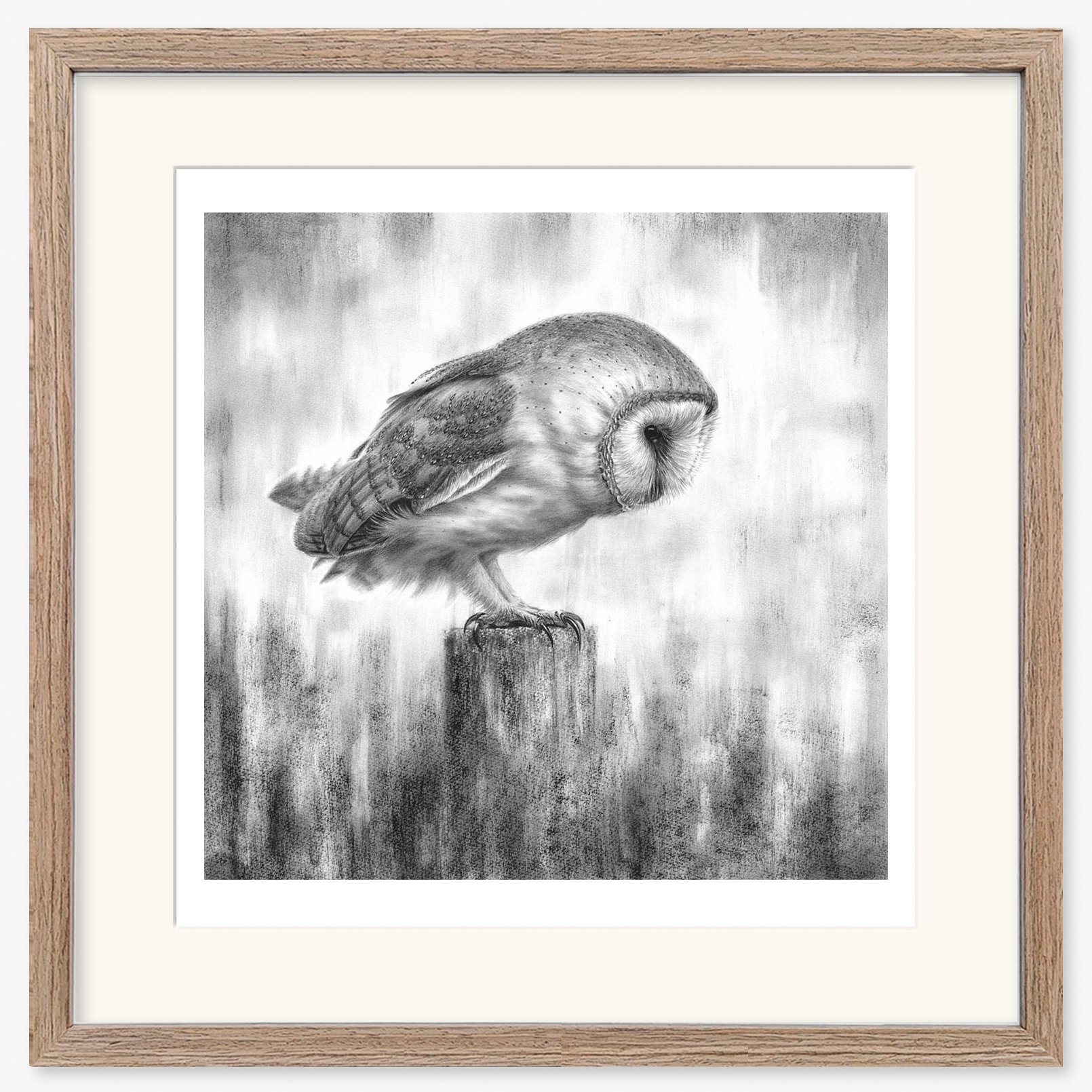 barn-owl-waiting_walnut.jpg