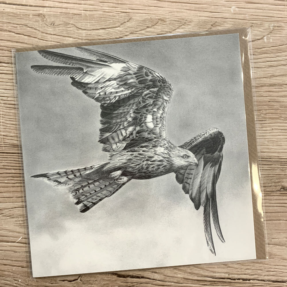 red-kite-card-a.jpg