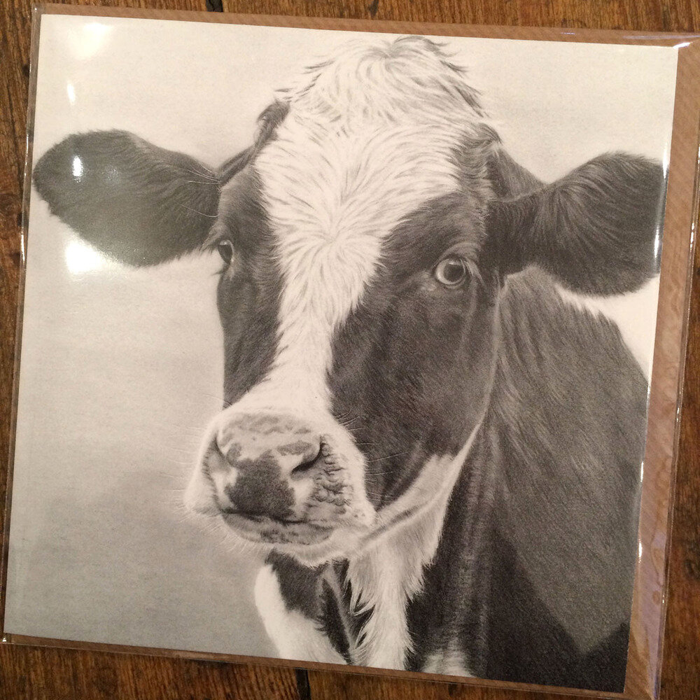 friesian_card_a.jpg