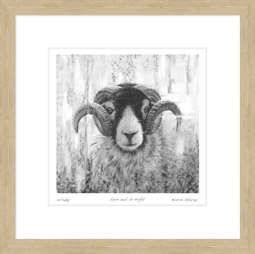 swaledale_tup_IV_framed.jpg