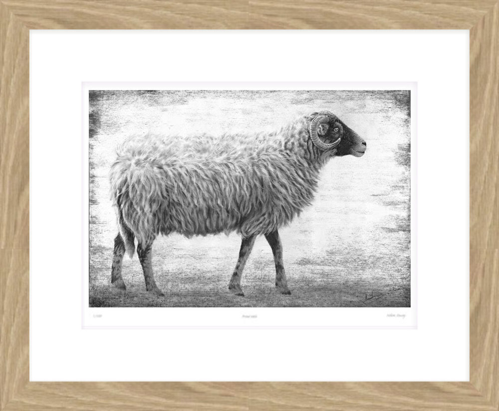 swaledale_profile_II_framed.jpg
