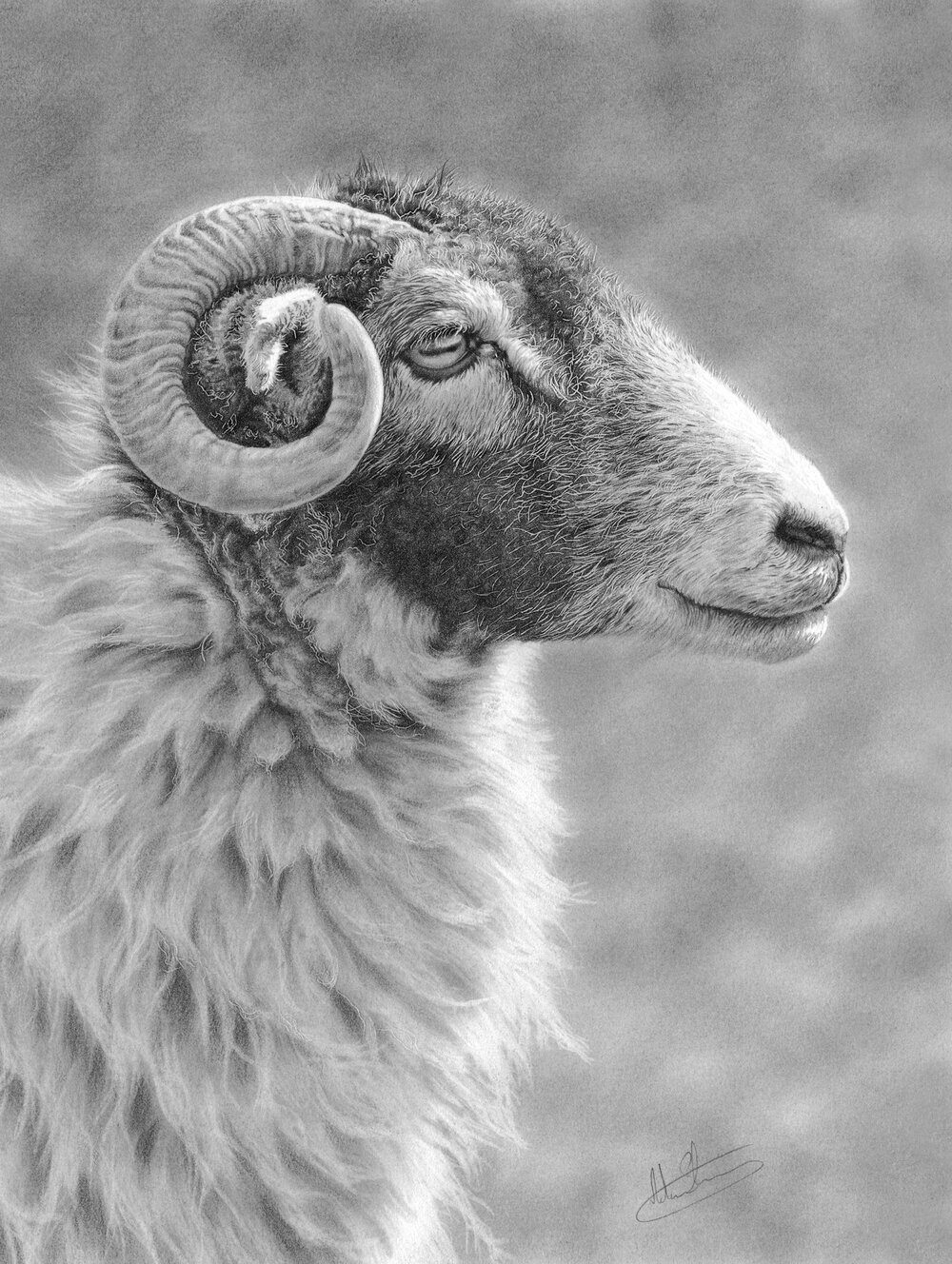 Swaledale_Profile.jpg