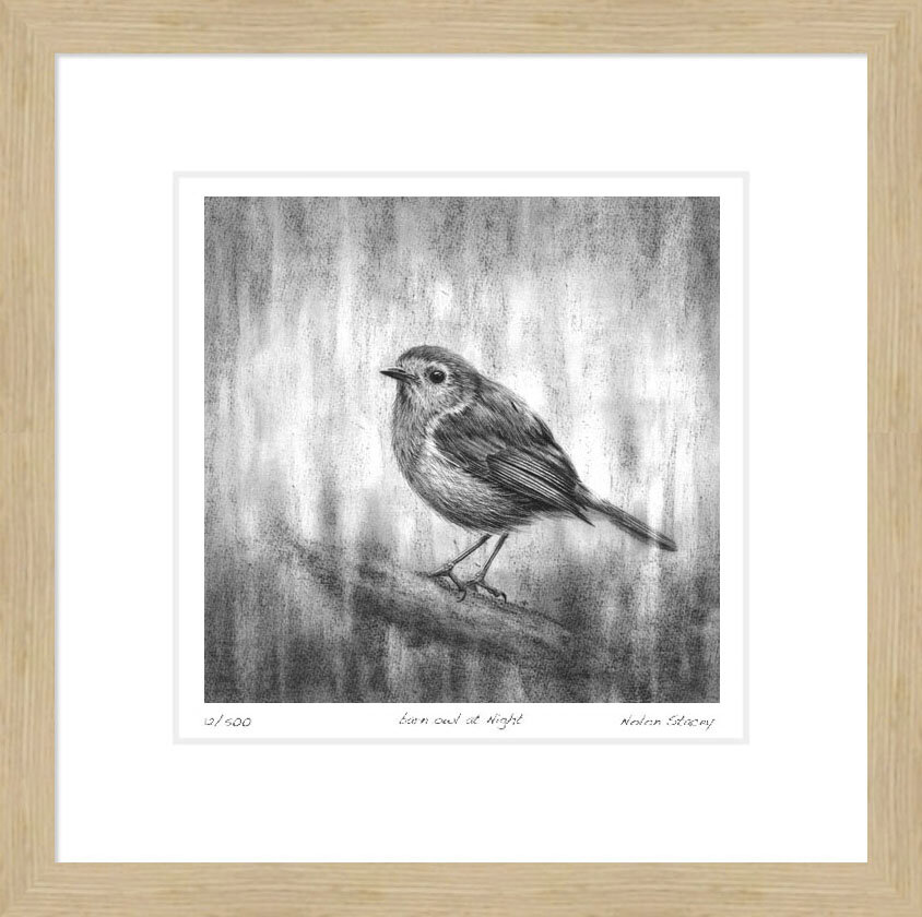 robin_framed.jpg