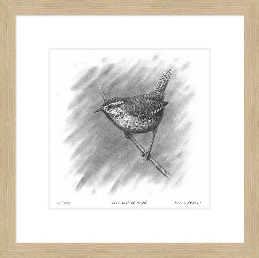 wren_on_branch_III_frame.jpg