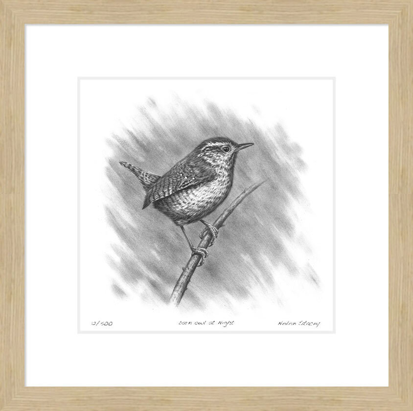 wren_on_branch_II_frame.jpg
