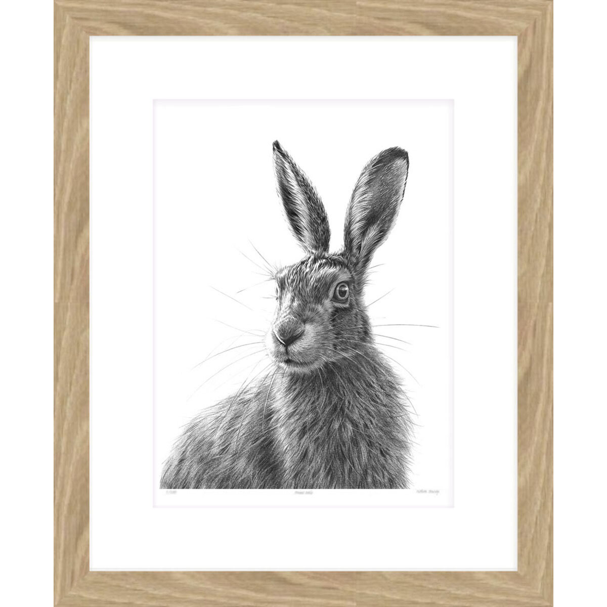 alert_hare_VI_framed.jpg