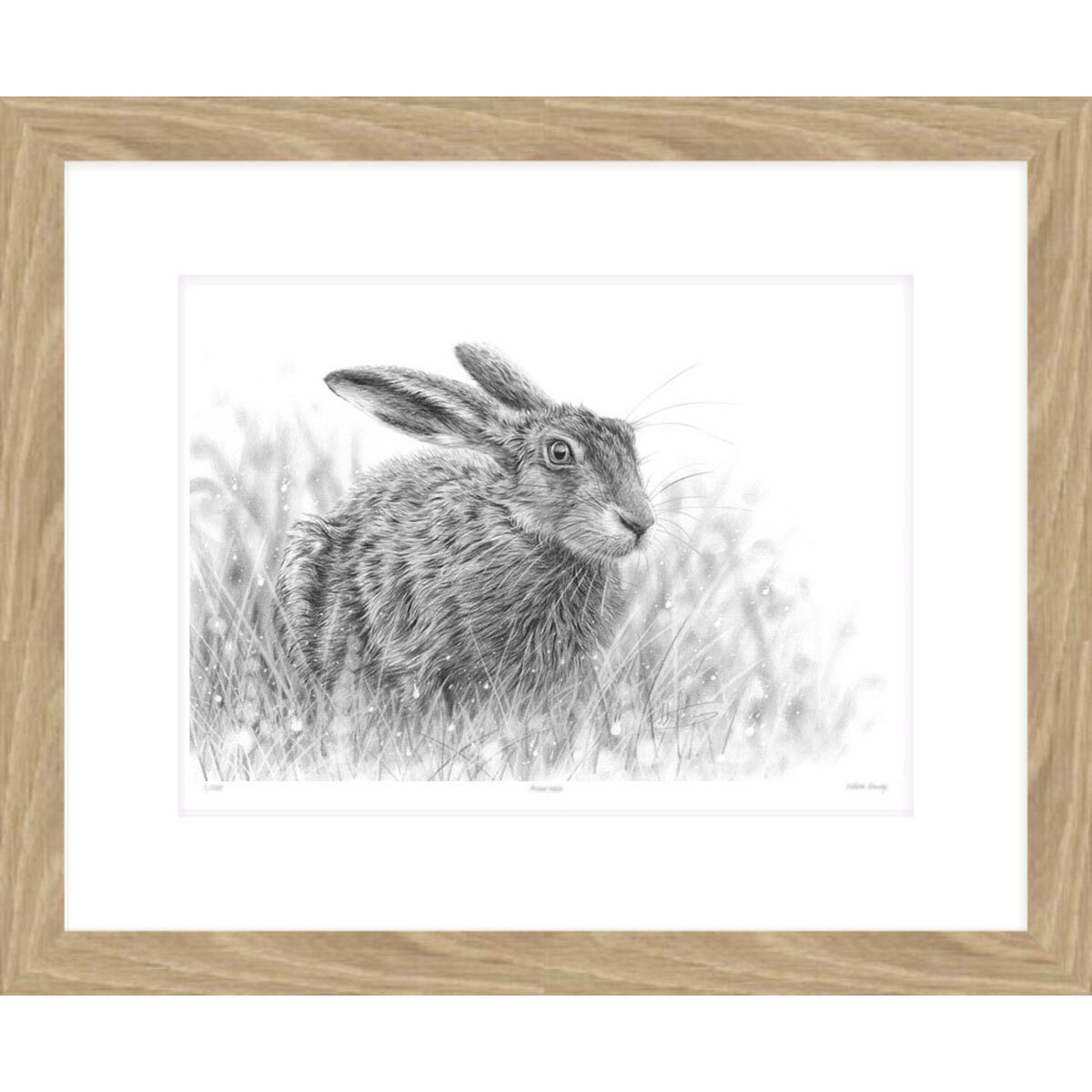 crouching_hare_framed.jpg
