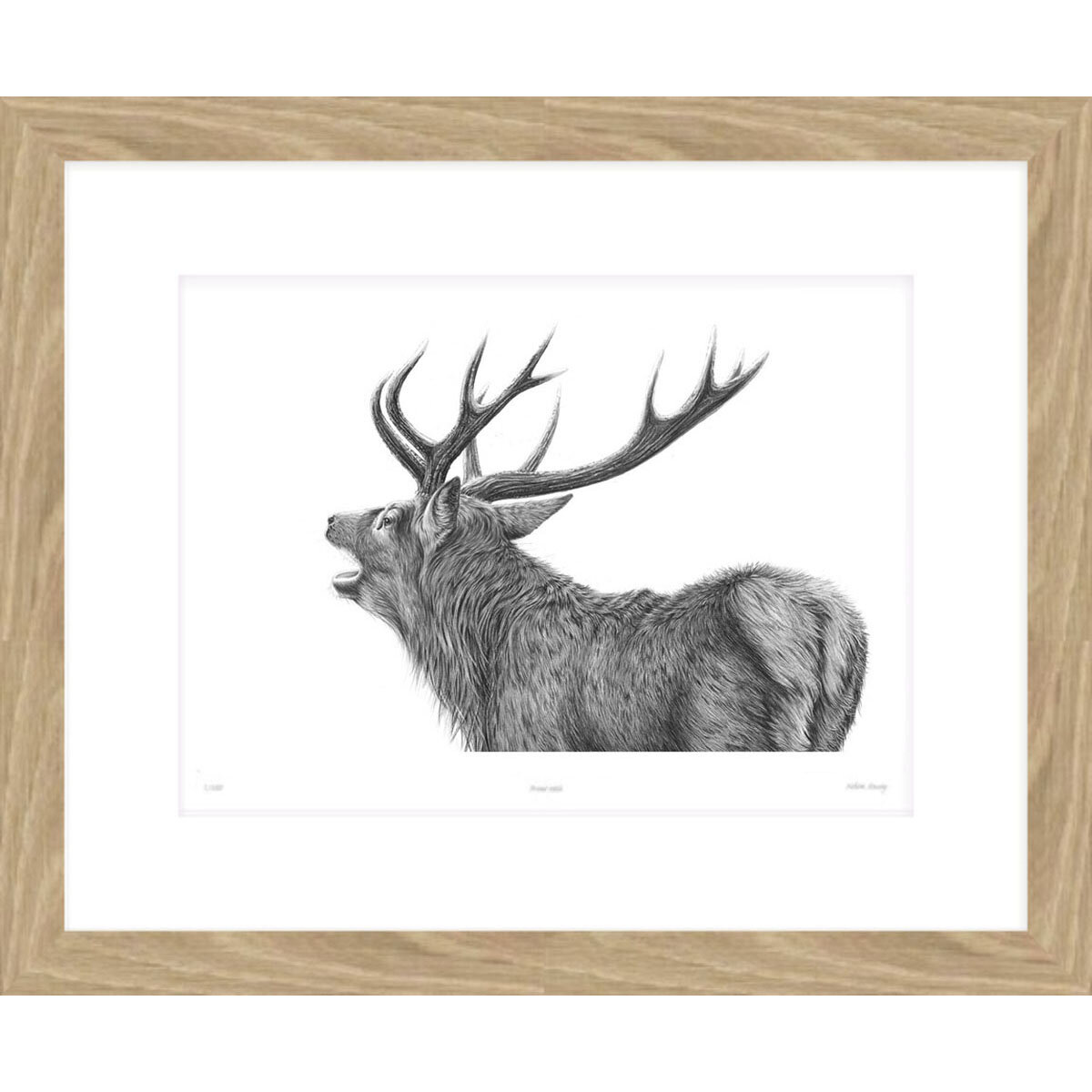 roaring_Stag_III_frame.jpg