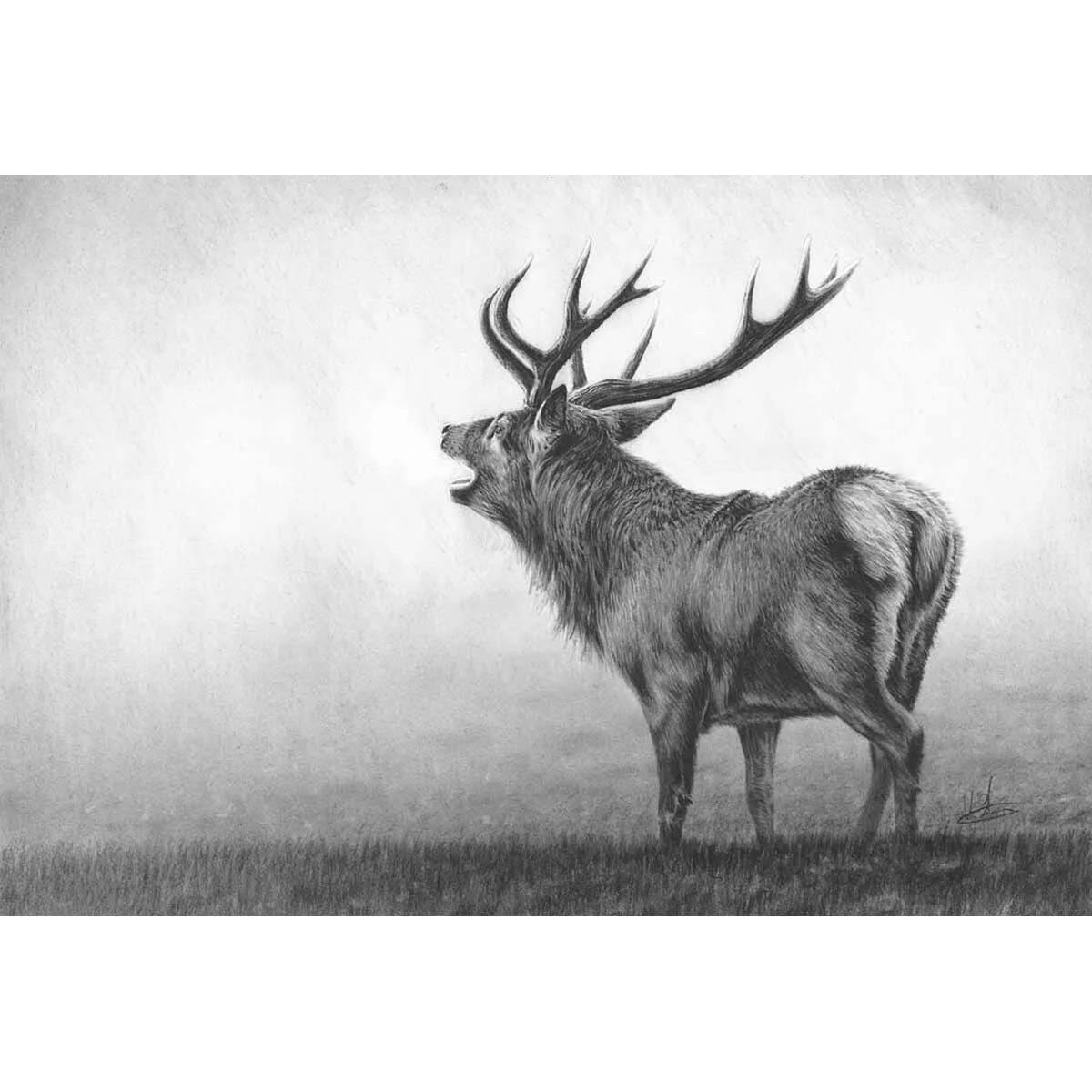 Roaring Stag II Nolon Stacey roaring-stag-ii-nolon-stacey